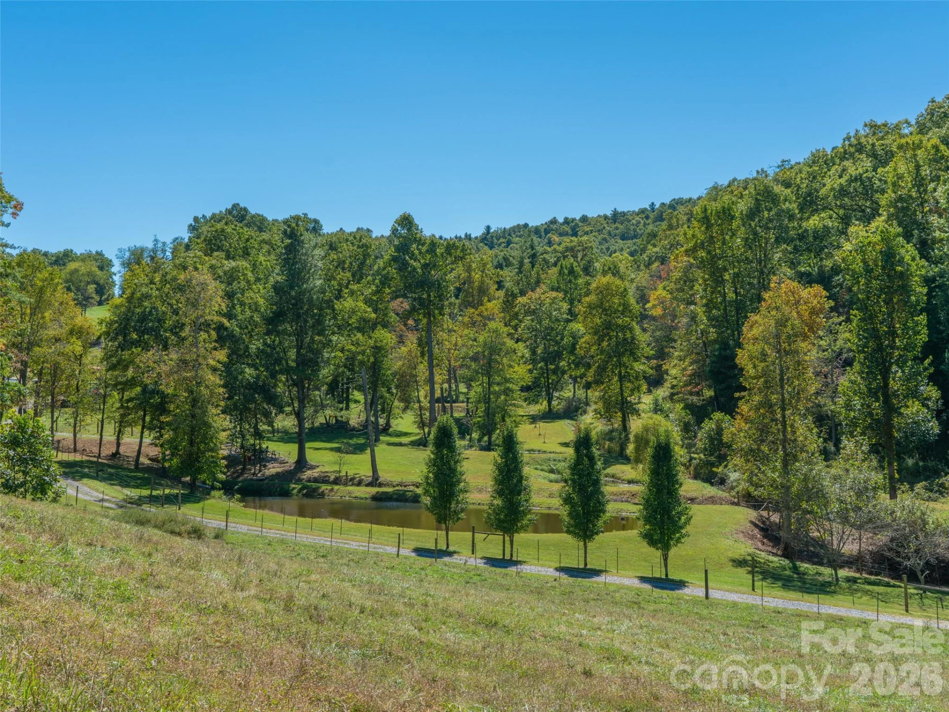 1050 Dale Road - Photo 34