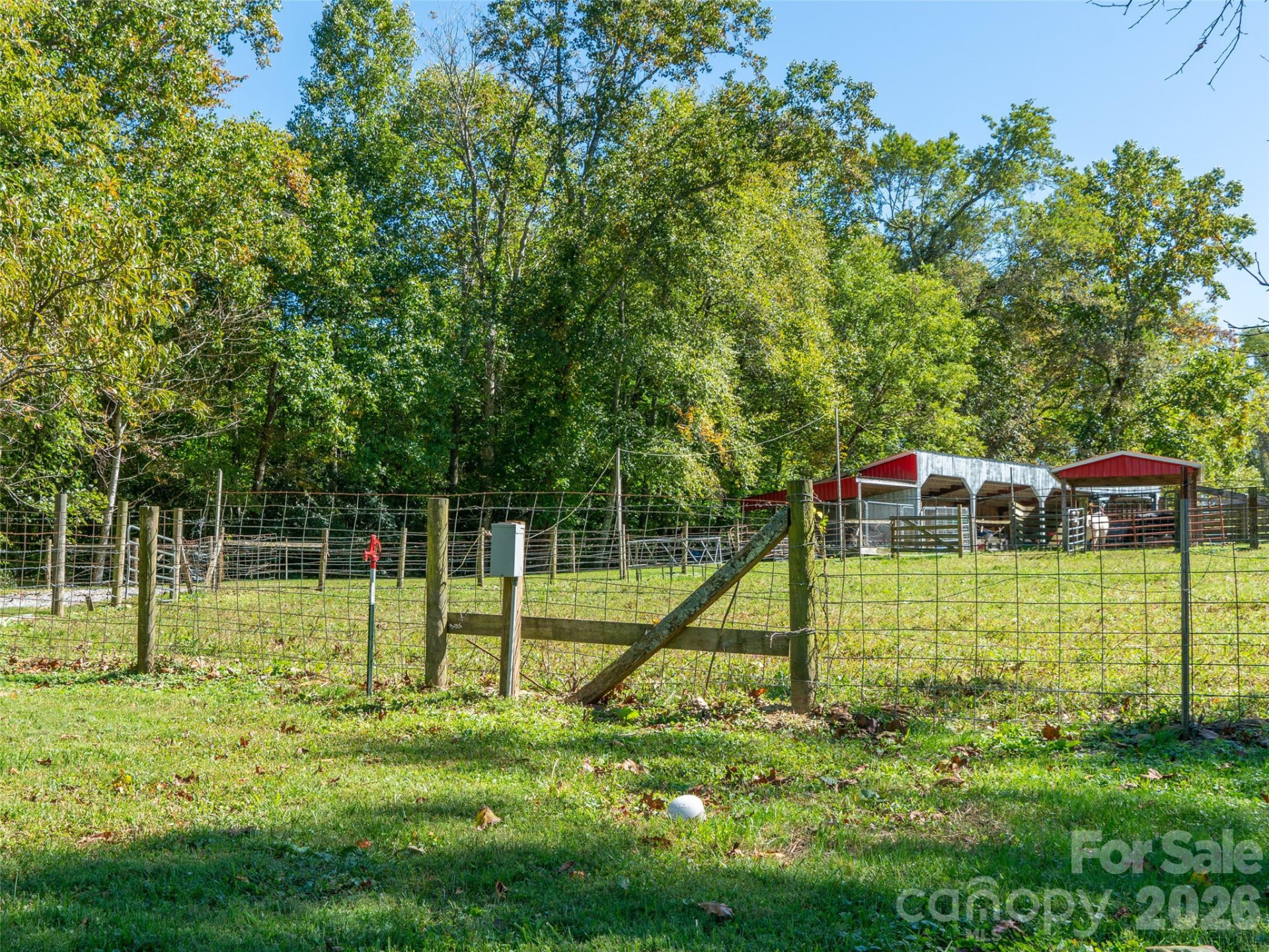 1050 Dale Road - Photo 38