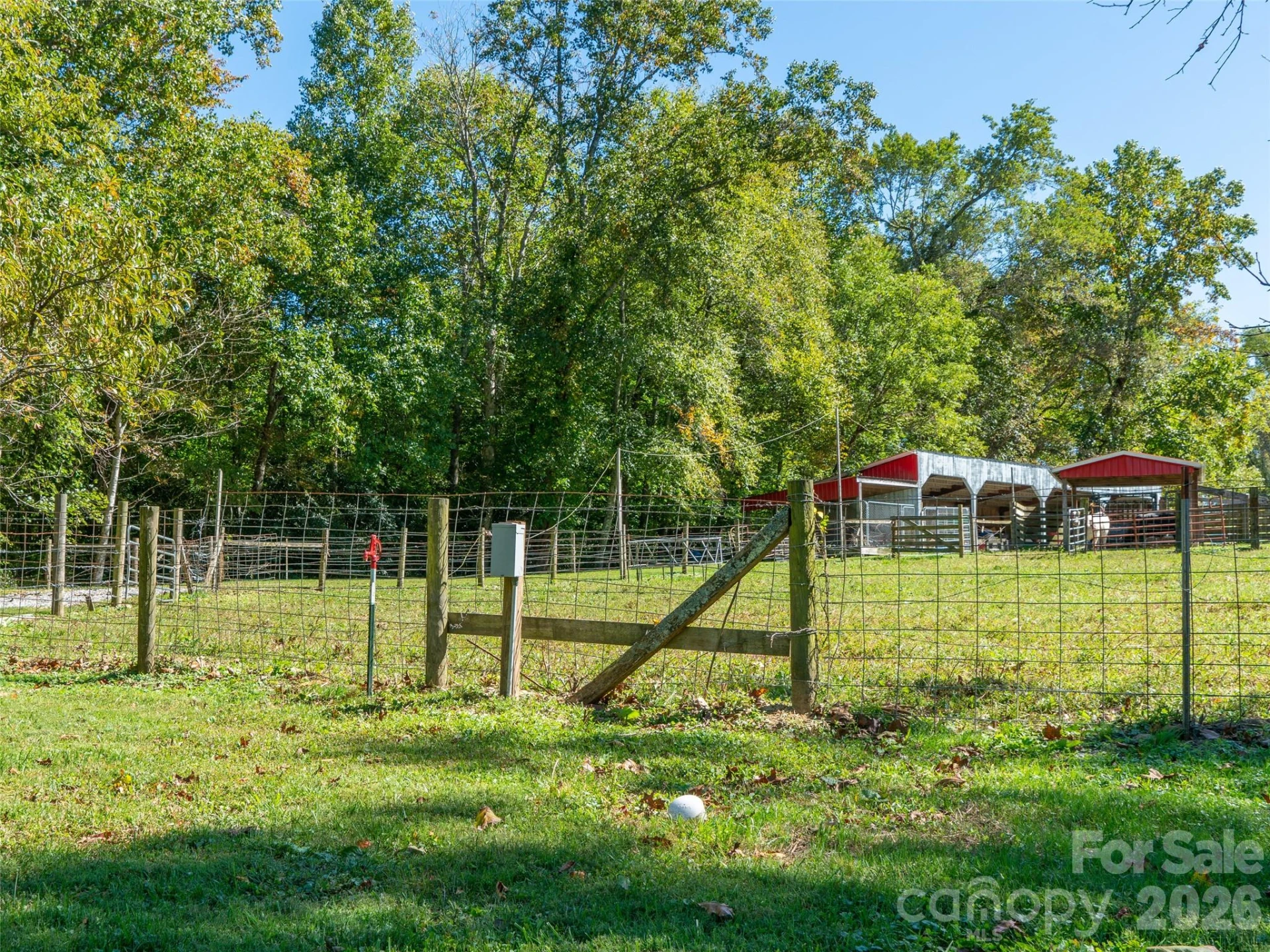 1050 Dale Road - Photo 38