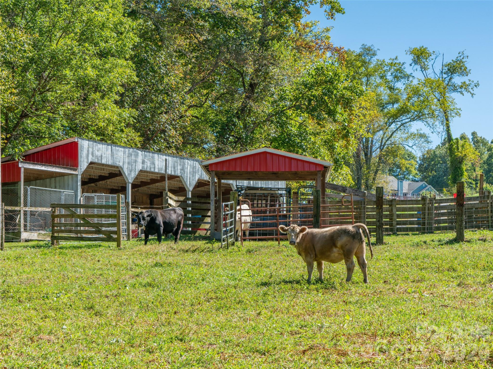 1050 Dale Road - Photo 39