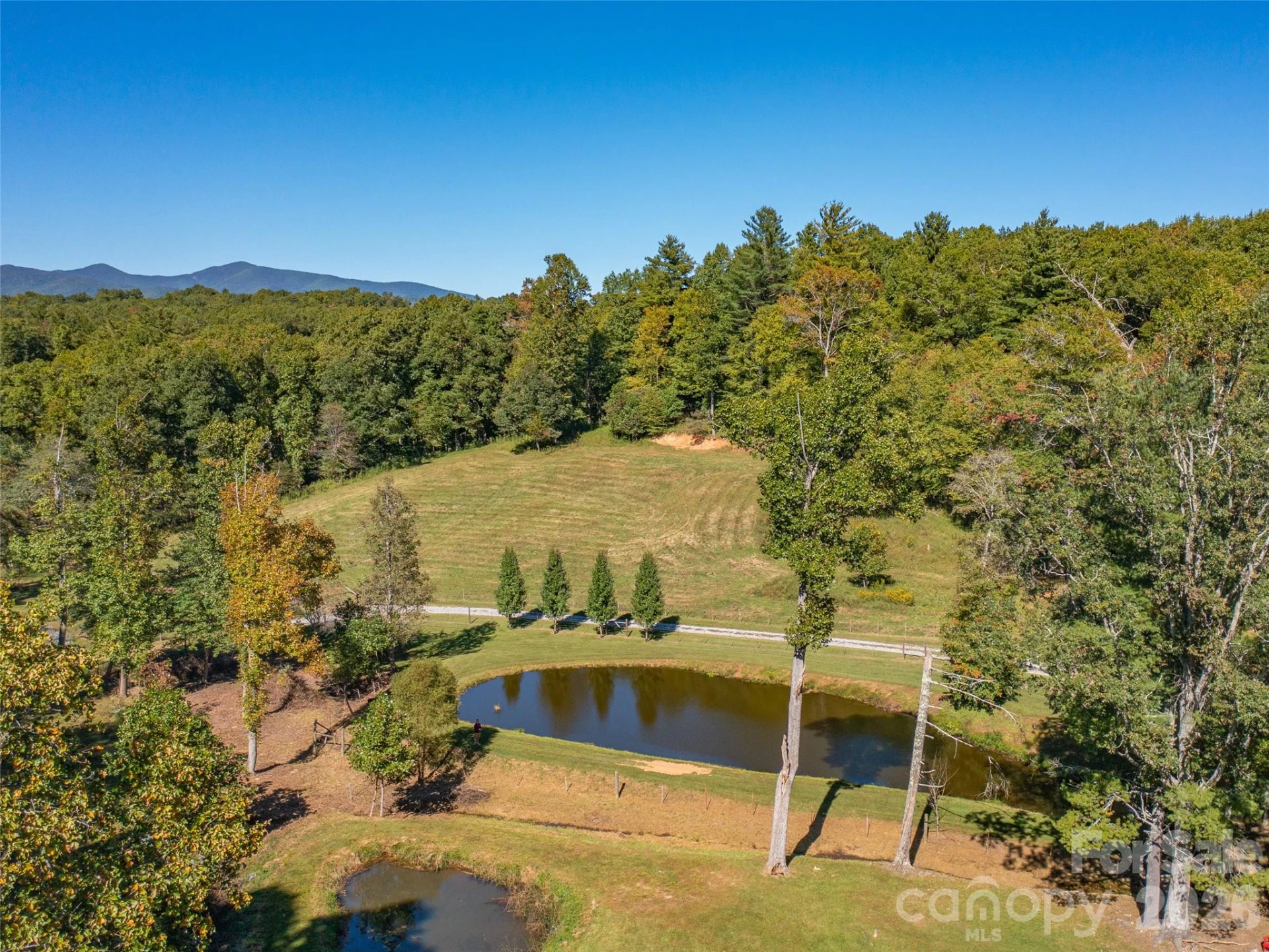 1050 Dale Road - Photo 43