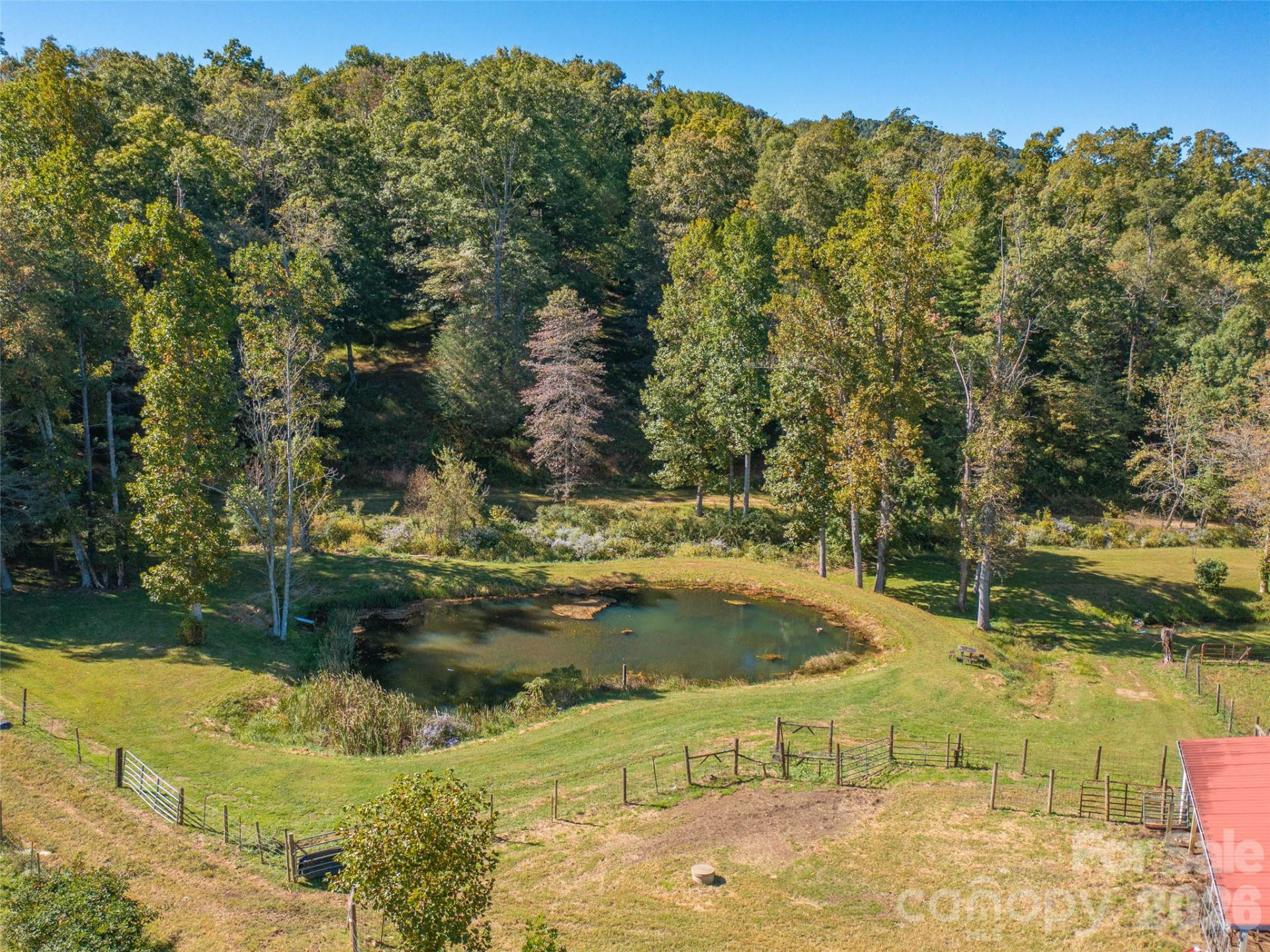 1050 Dale Road - Photo 48