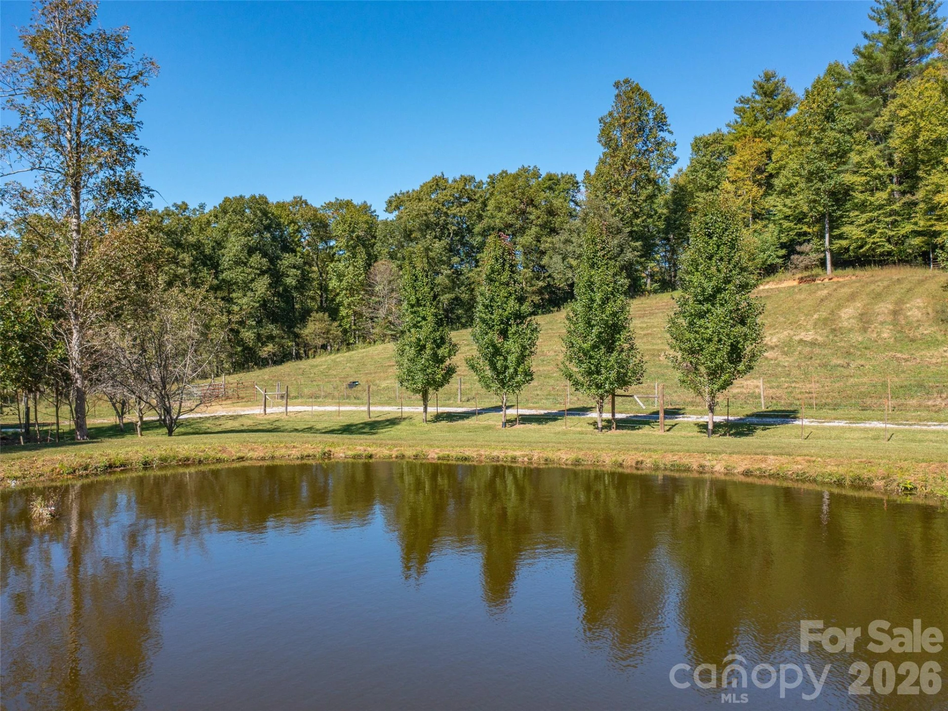 1050 Dale Road - Photo 9