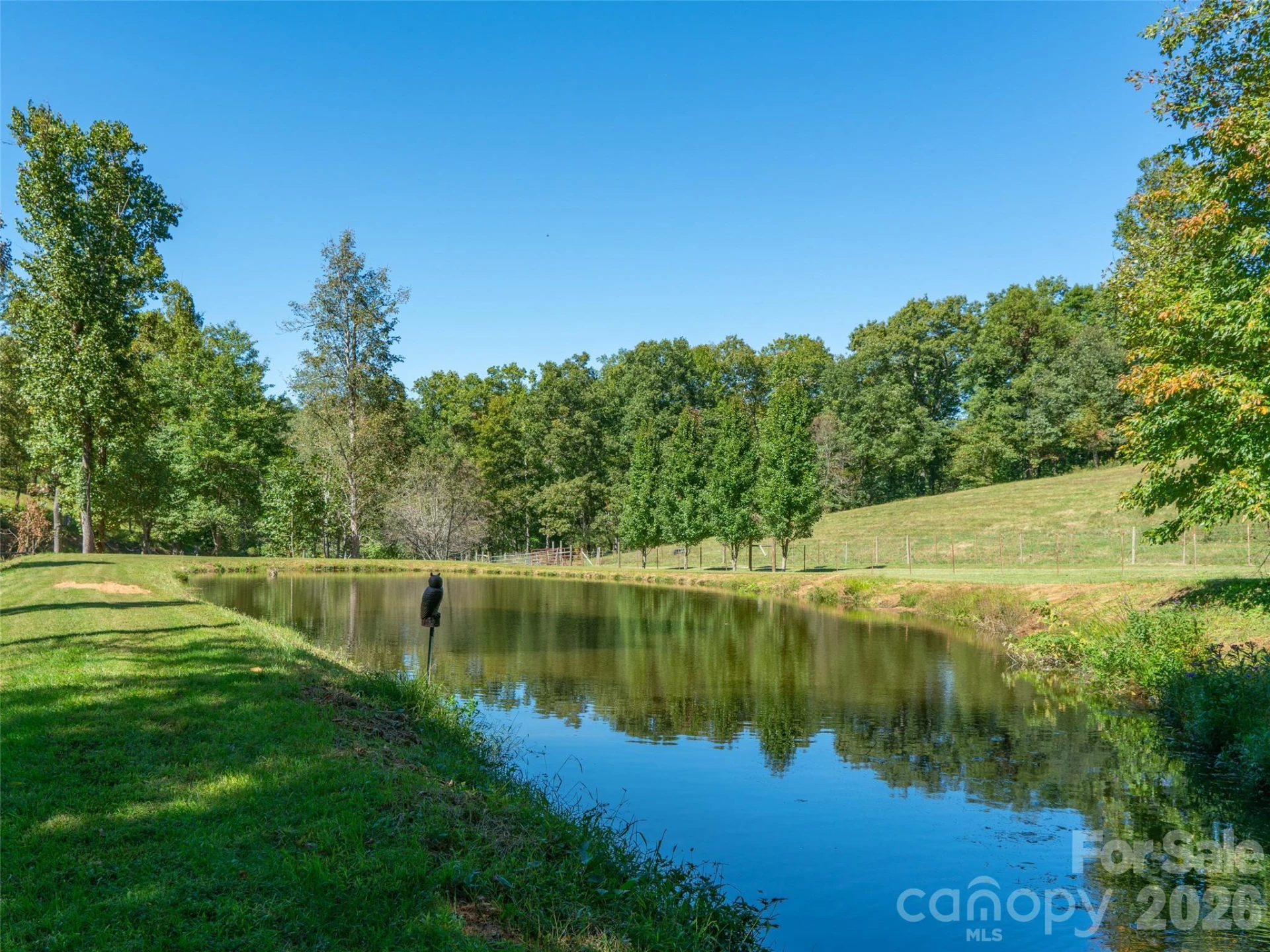 1050 Dale Road - Photo 10