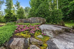 w12 curtain Bluff - Photo 3