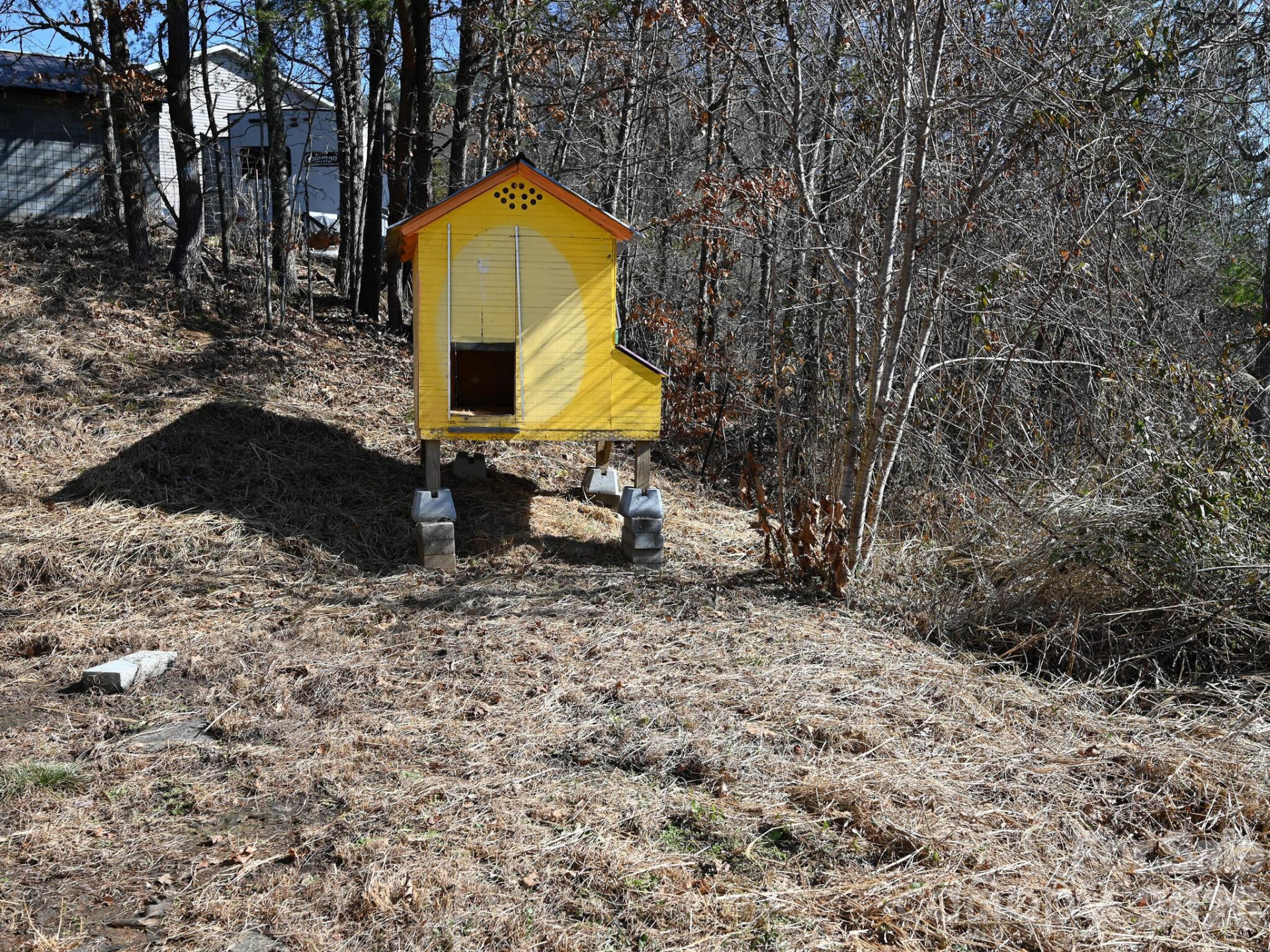 3509 Gabriels Creek Road - Photo 29