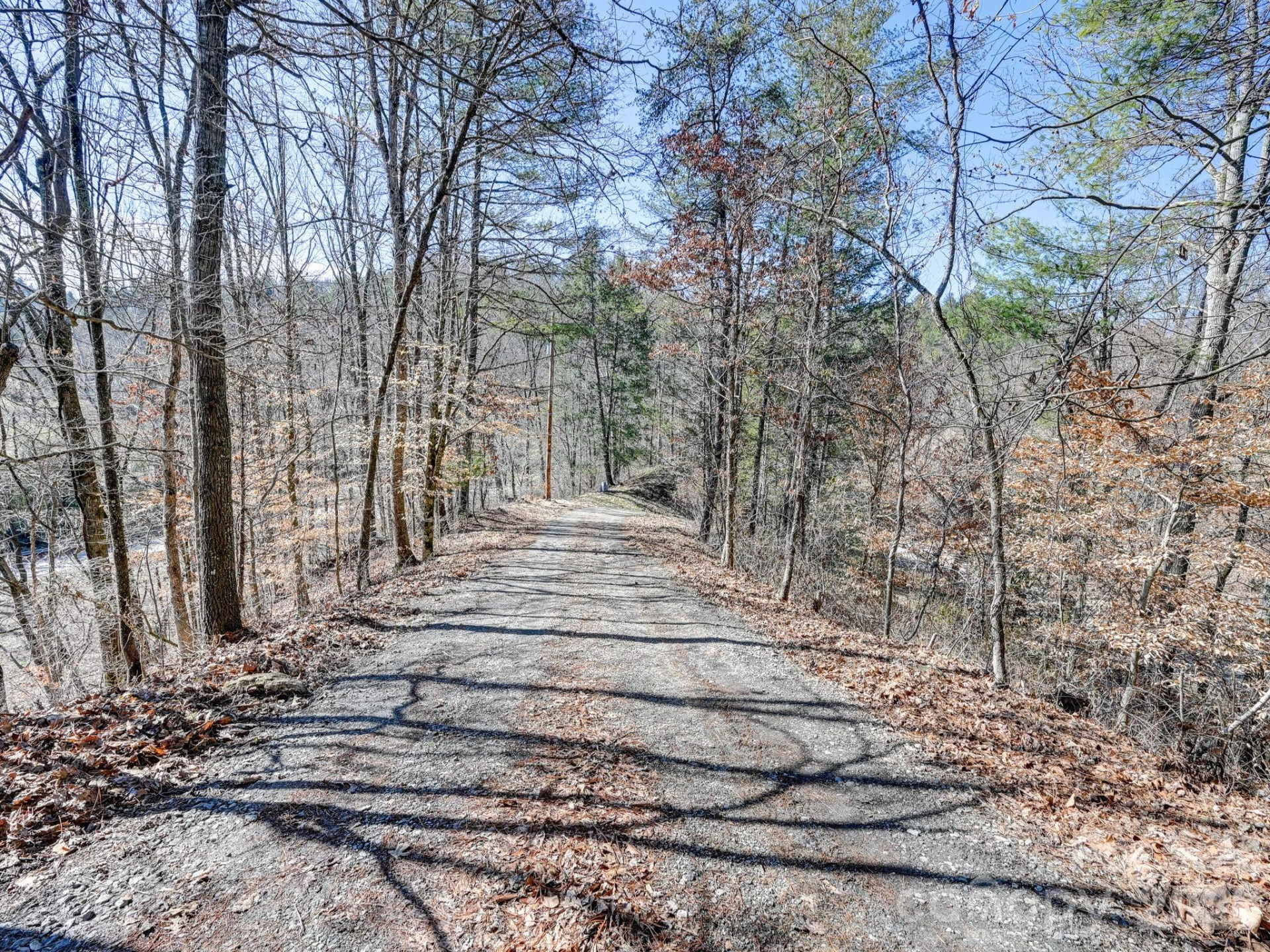 3509 Gabriels Creek Road - Photo 46