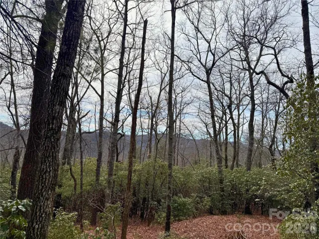 TBD Laurel Thicket Lane, Brevard, NC, 28712