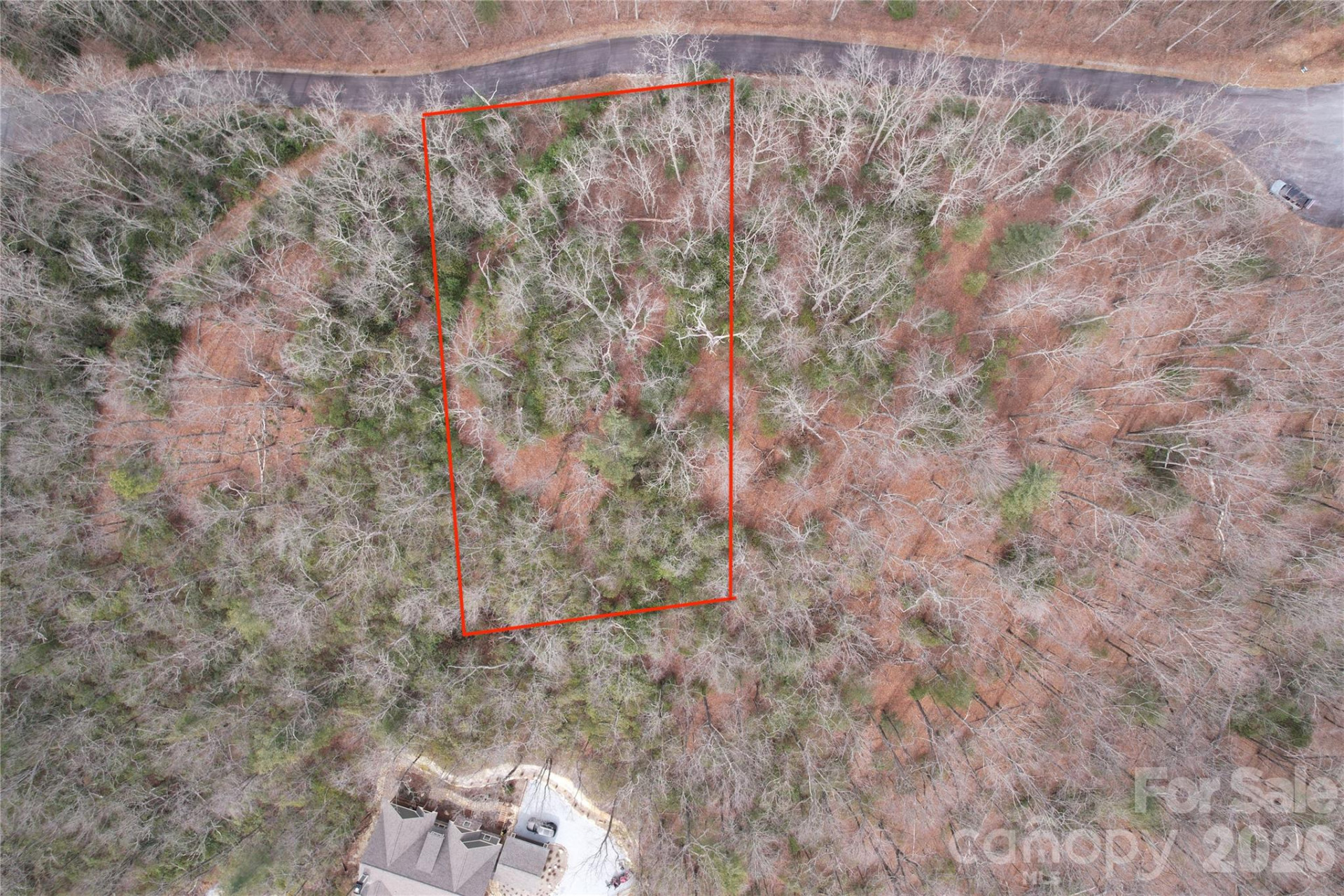 TBD Laurel Thicket Lane - Photo 2