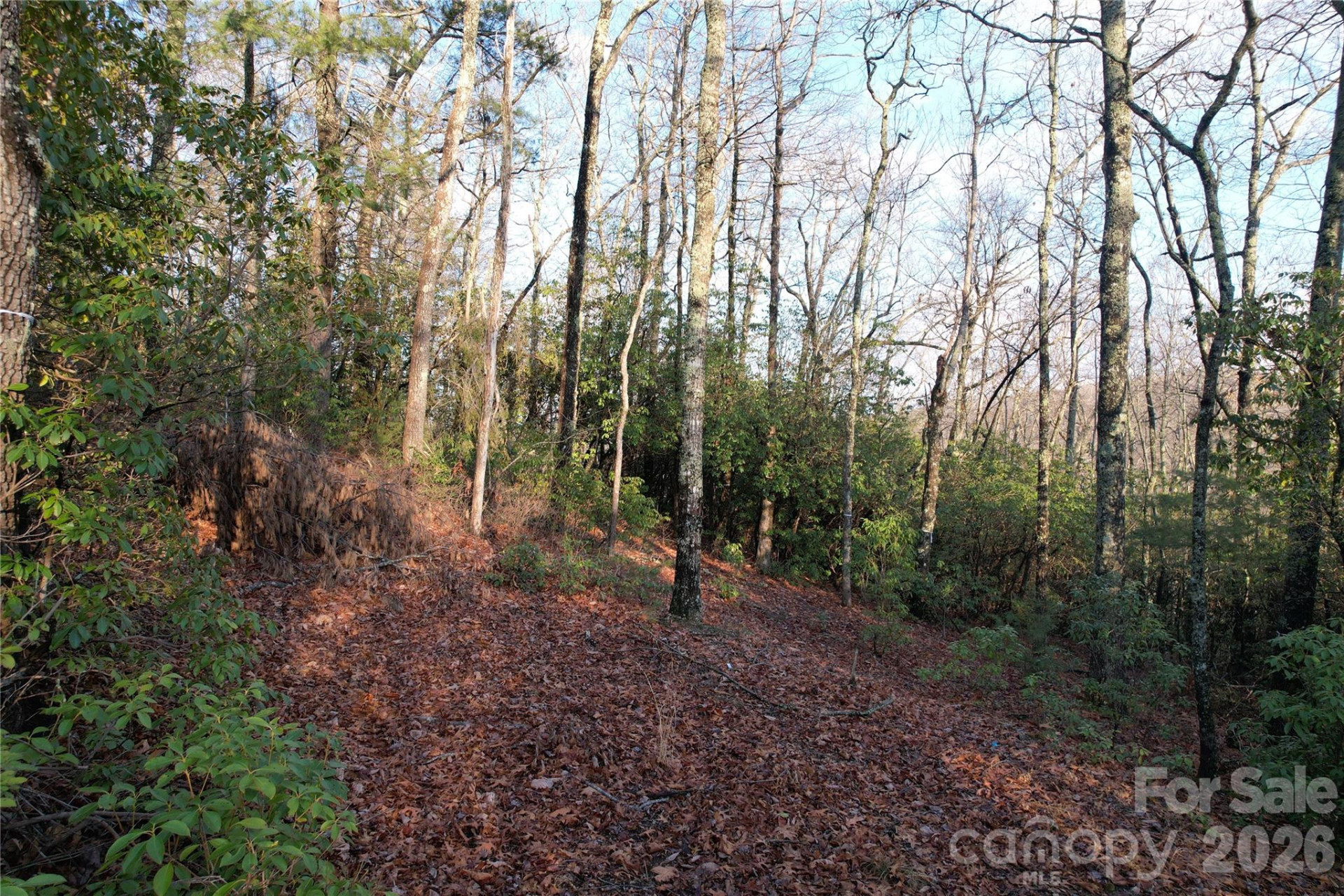 TBD Laurel Thicket Lane - Photo 12