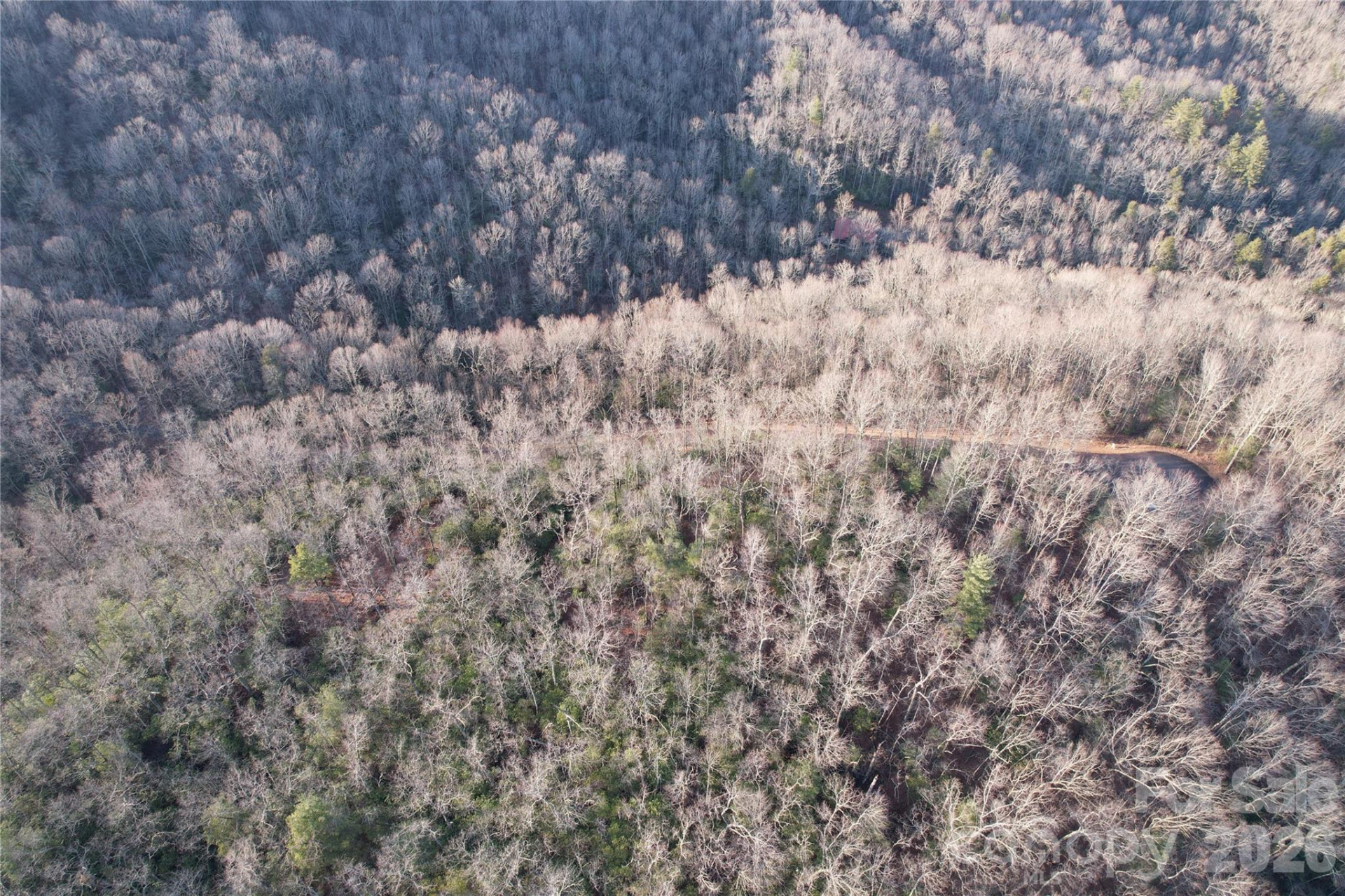 TBD Laurel Thicket Lane - Photo 15