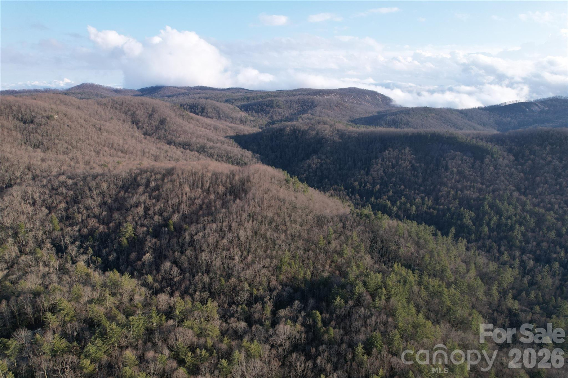 TBD Laurel Thicket Lane - Photo 16