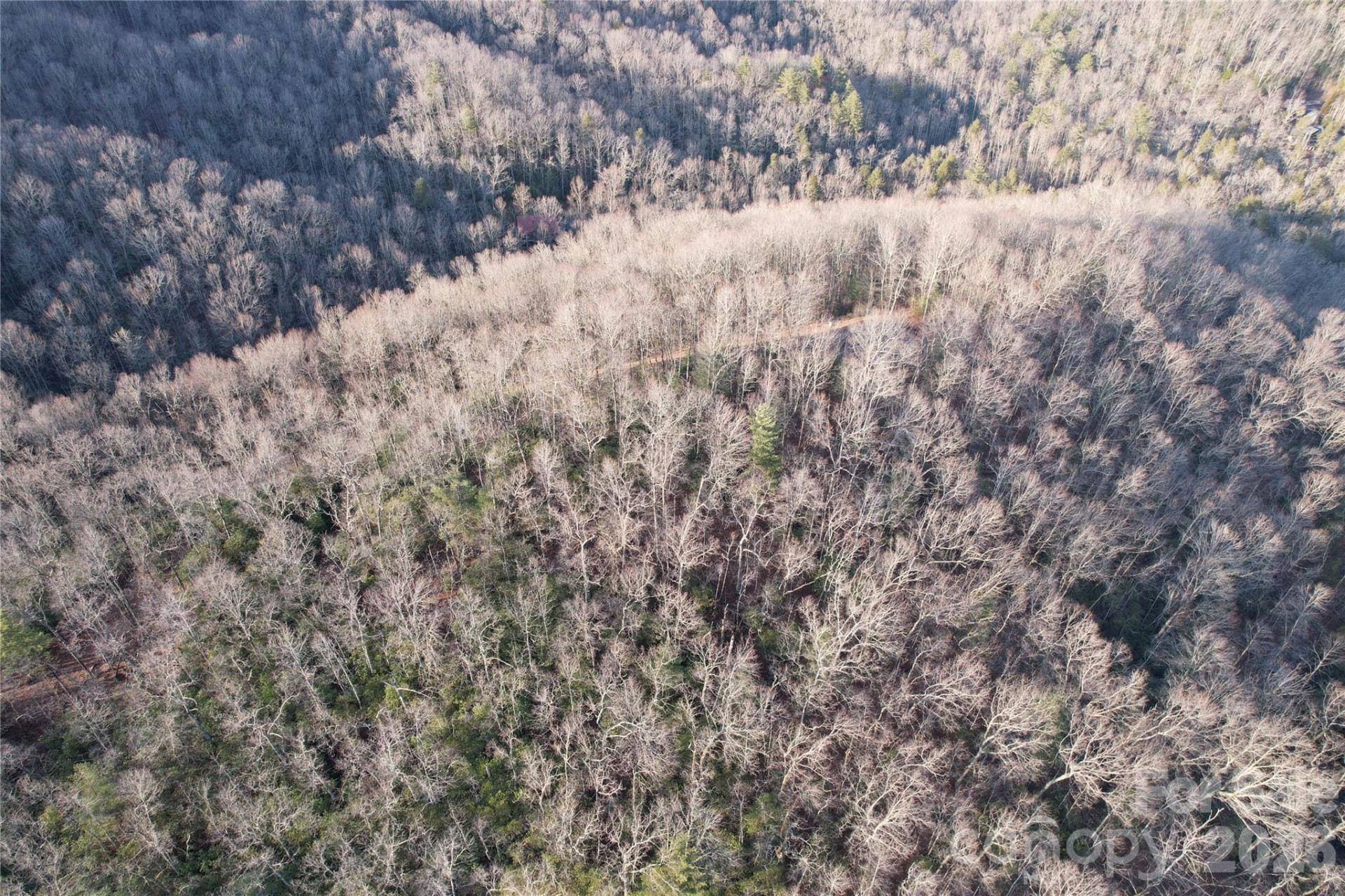 TBD Laurel Thicket Lane - Photo 18