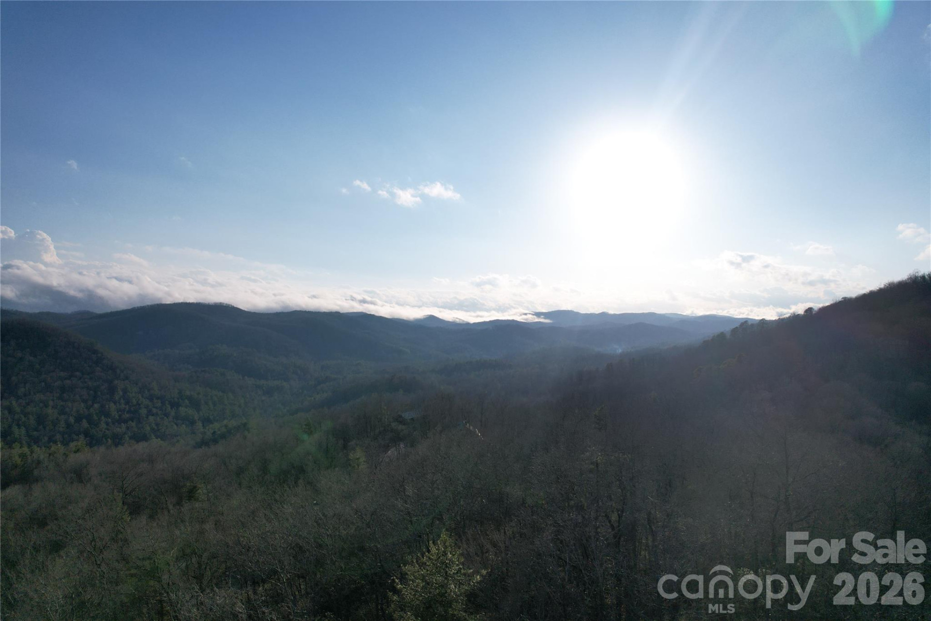 TBD Laurel Thicket Lane - Photo 19