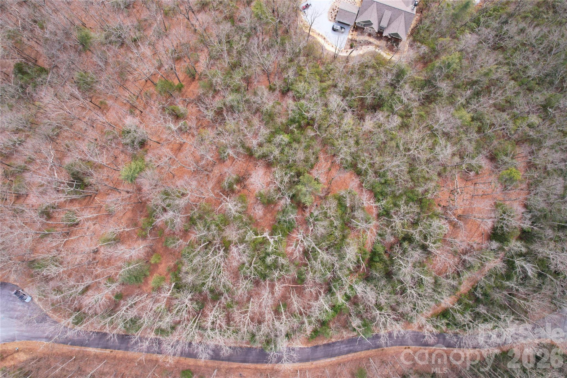 TBD Laurel Thicket Lane - Photo 3
