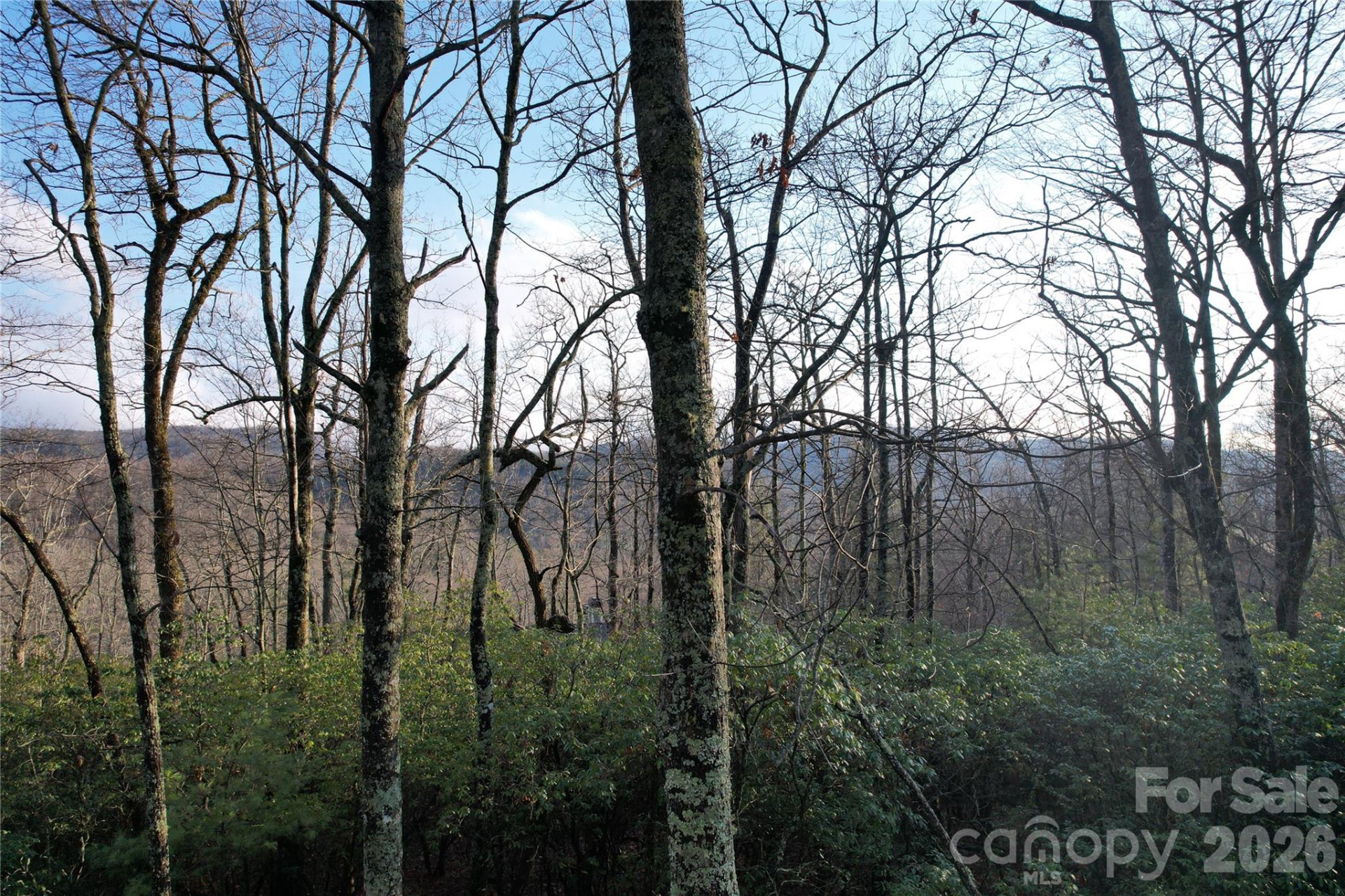 TBD Laurel Thicket Lane - Photo 4