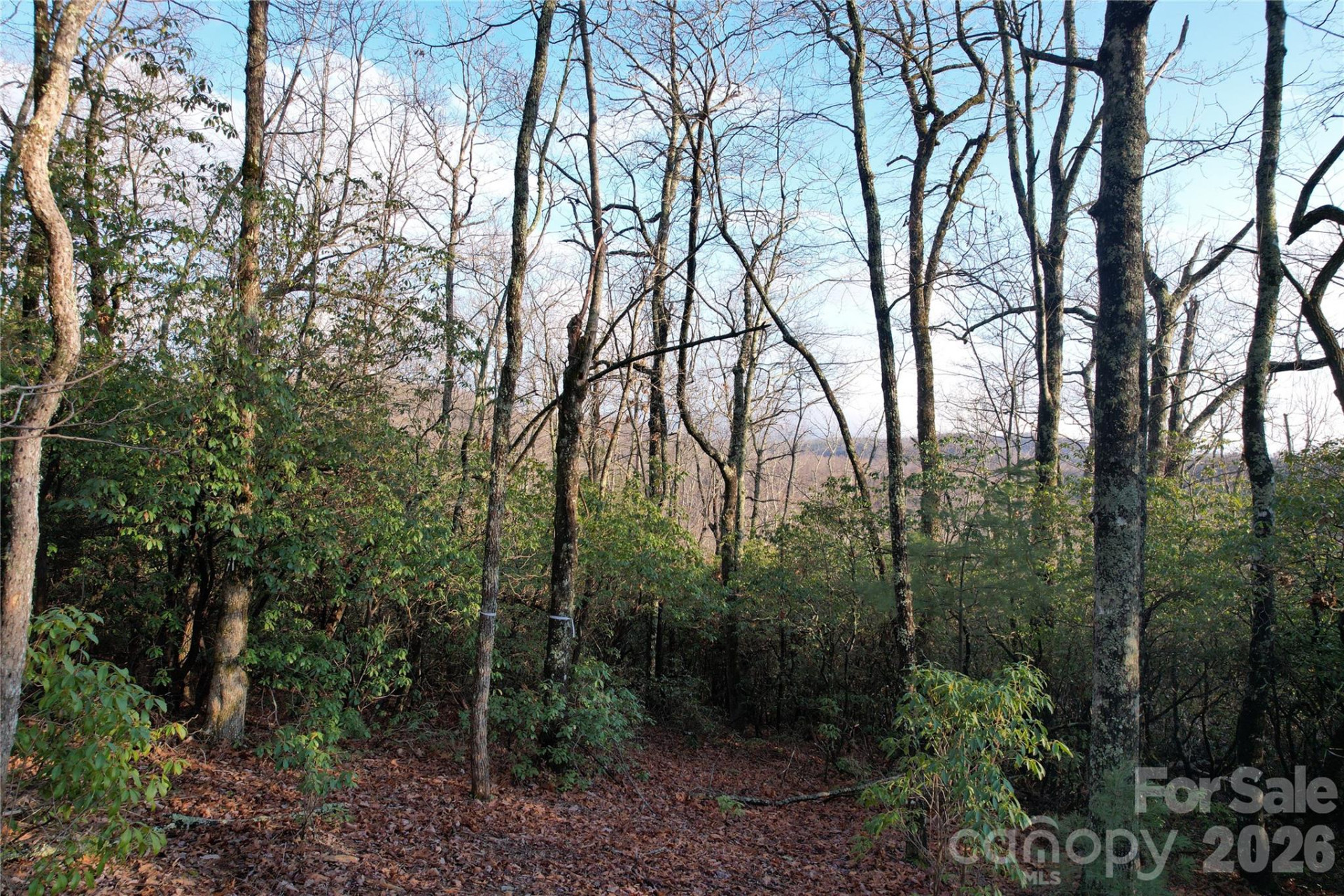 TBD Laurel Thicket Lane - Photo 5