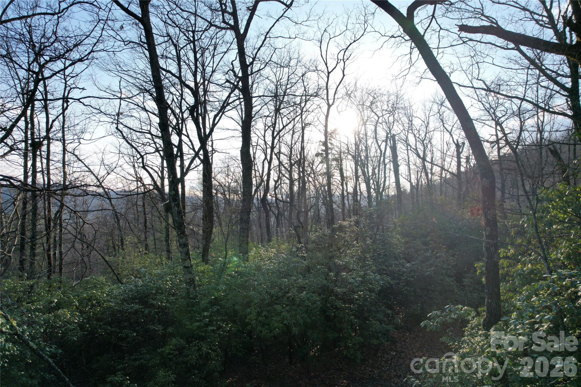 TBD Laurel Thicket Lane - Photo 6