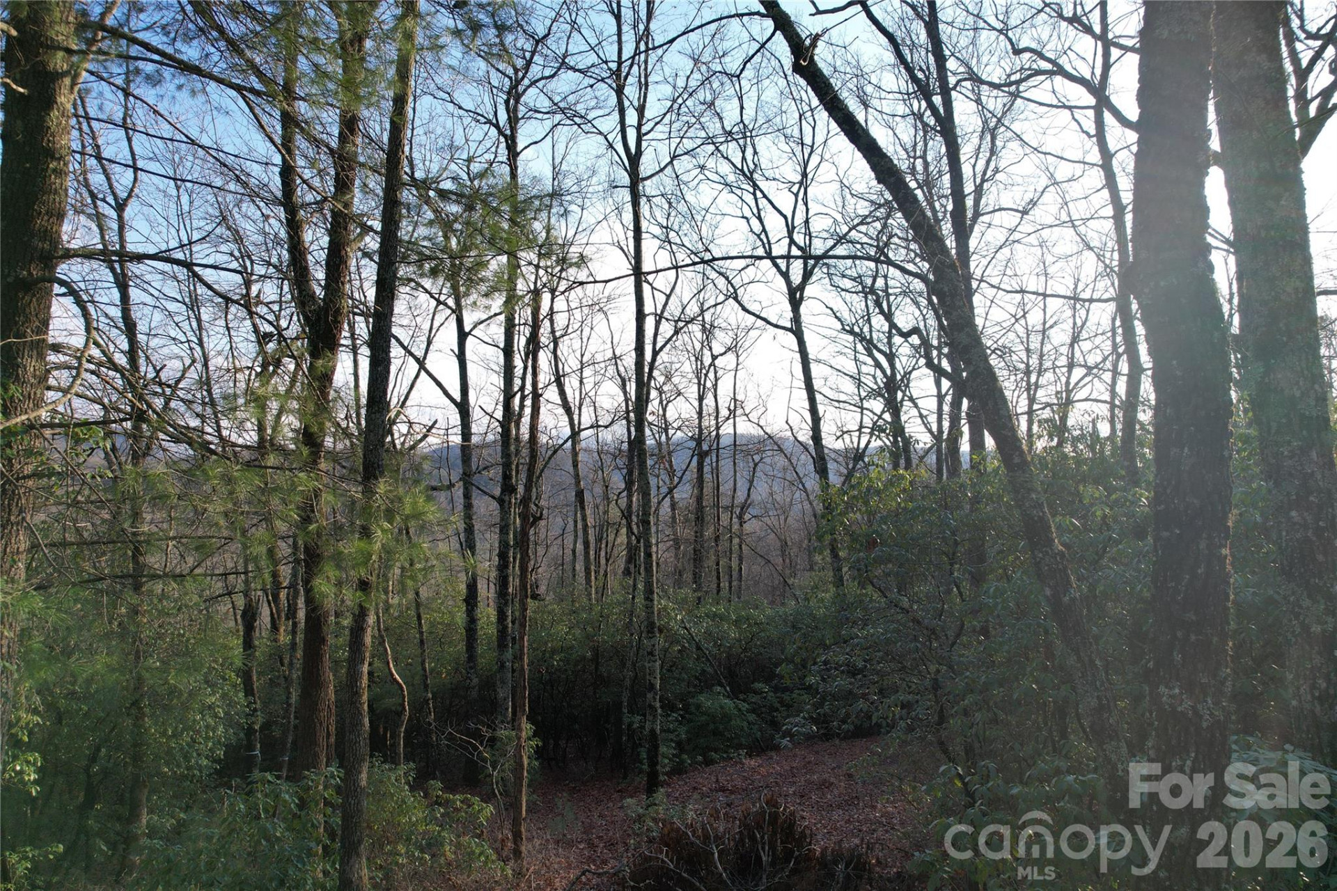 TBD Laurel Thicket Lane - Photo 7