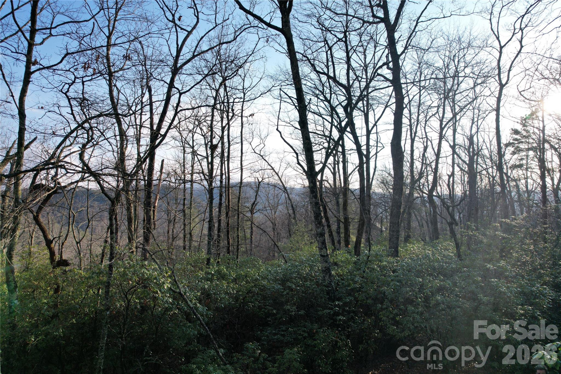 TBD Laurel Thicket Lane - Photo 8