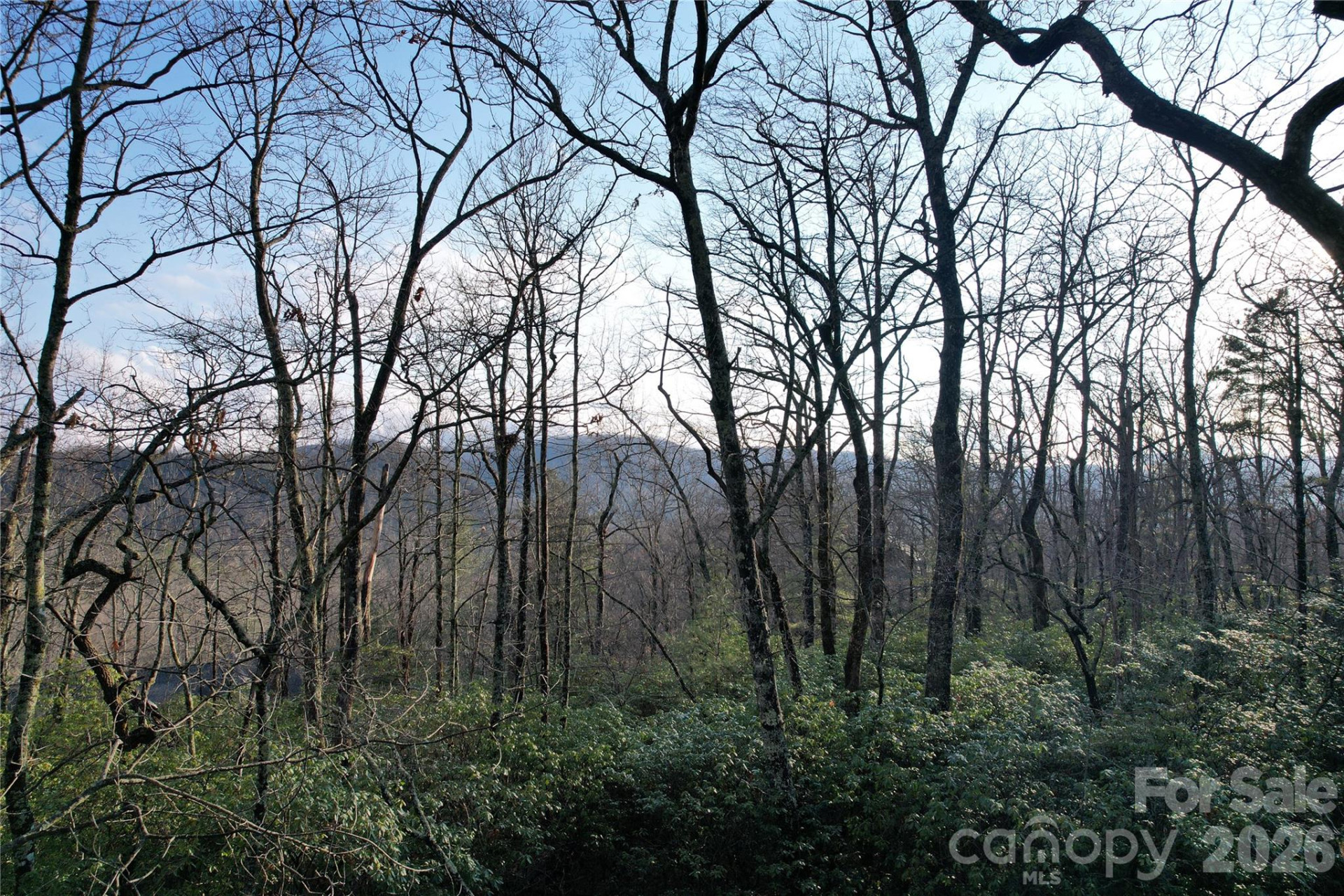 TBD Laurel Thicket Lane - Photo 9
