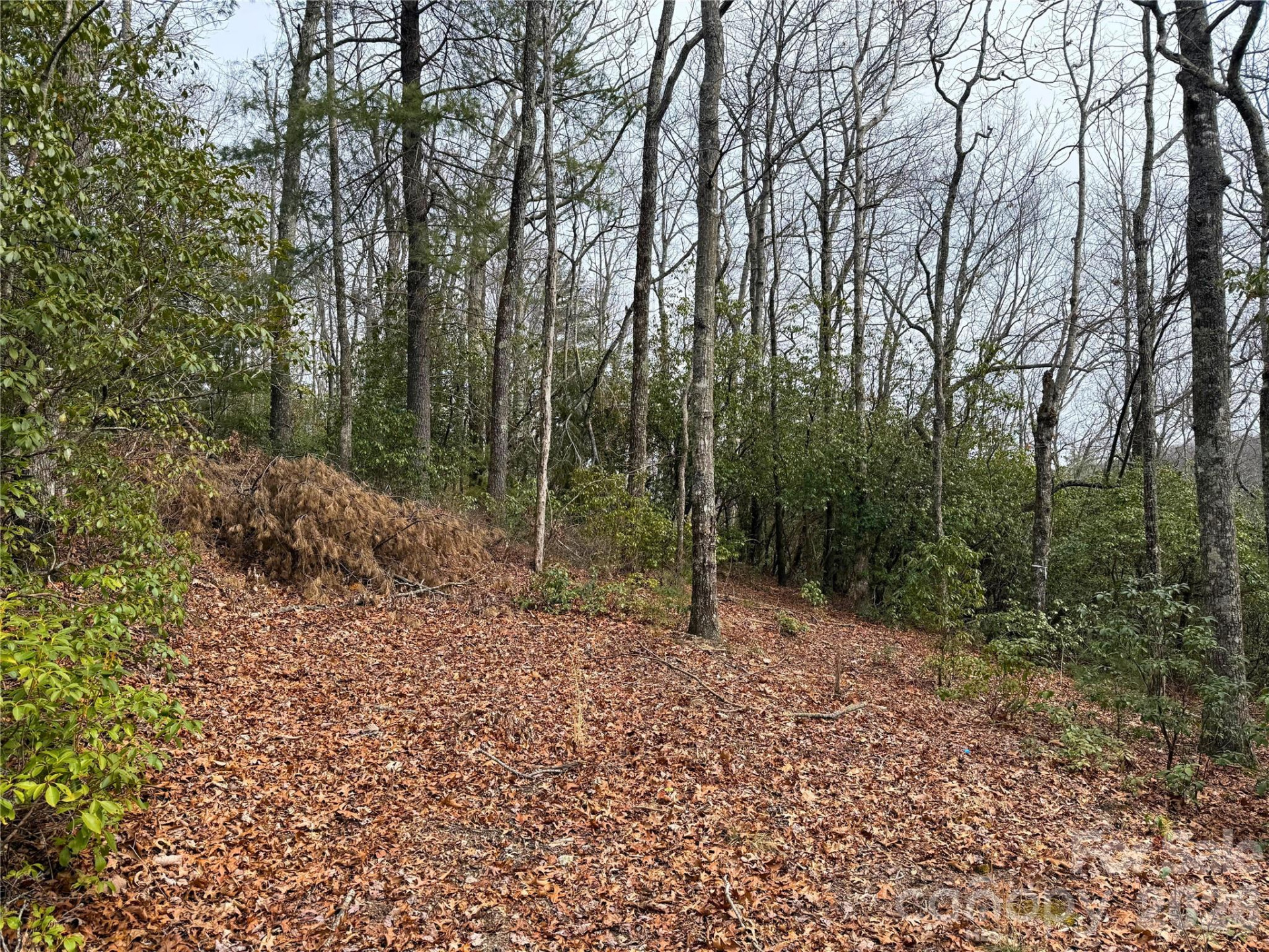 TBD Laurel Thicket Lane - Photo 10