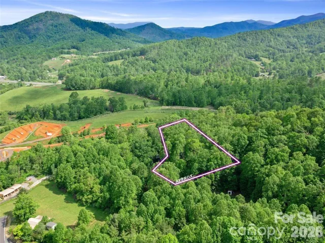 TBD Hinson Thomas Road, Spruce Pine, NC, 28777