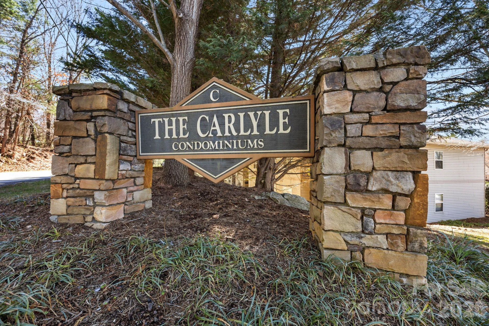 704 Carlyle Way - Photo 28