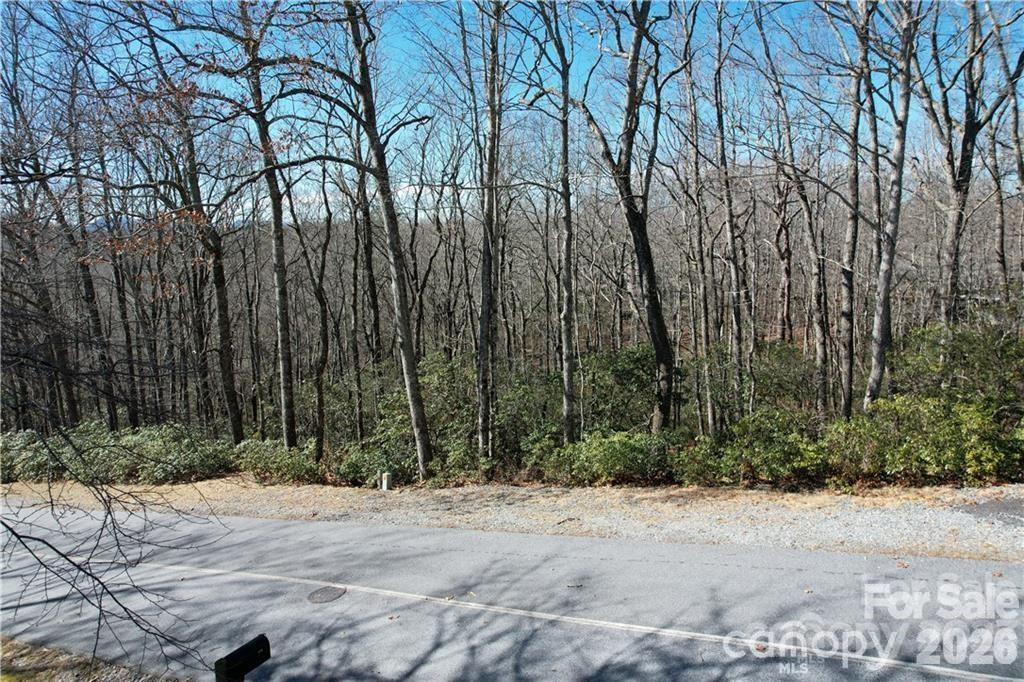 U19 L053 Gawanv Court - Photo 4