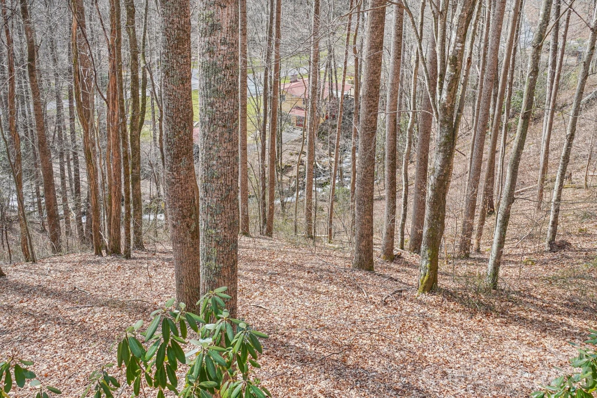 307 Roaring Creek Lane - Photo 27
