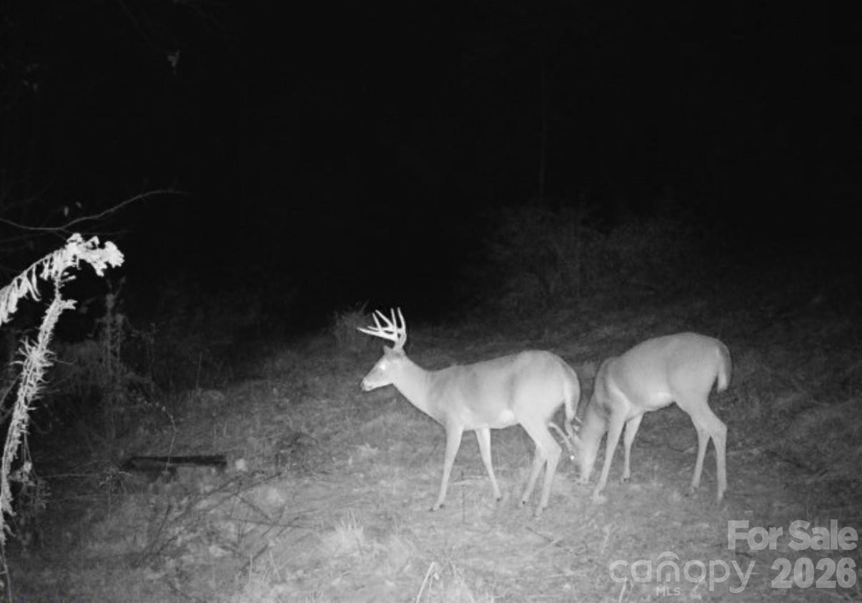 842 Old NC 20 Highway - Photo 40