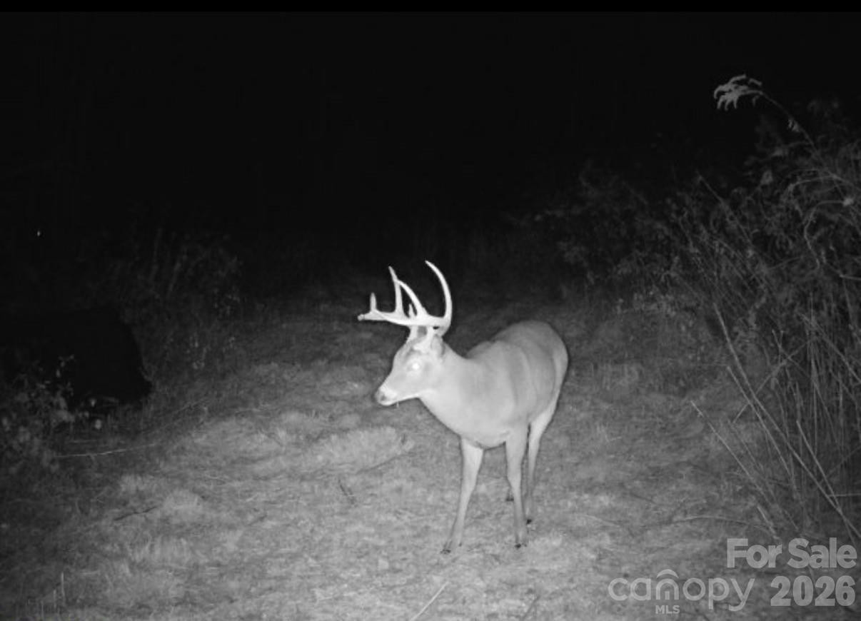 842 Old NC 20 Highway - Photo 41