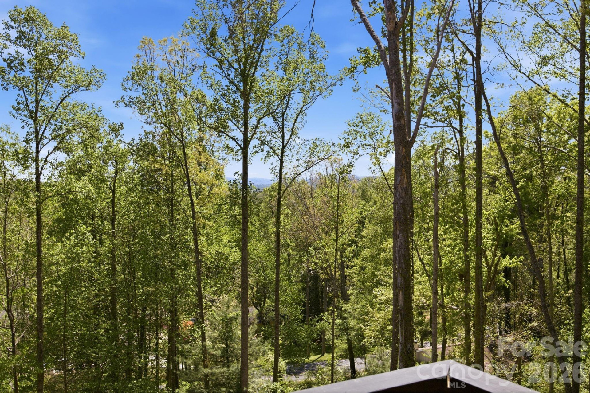 102 Sandpiper Palisades Street - Photo 39