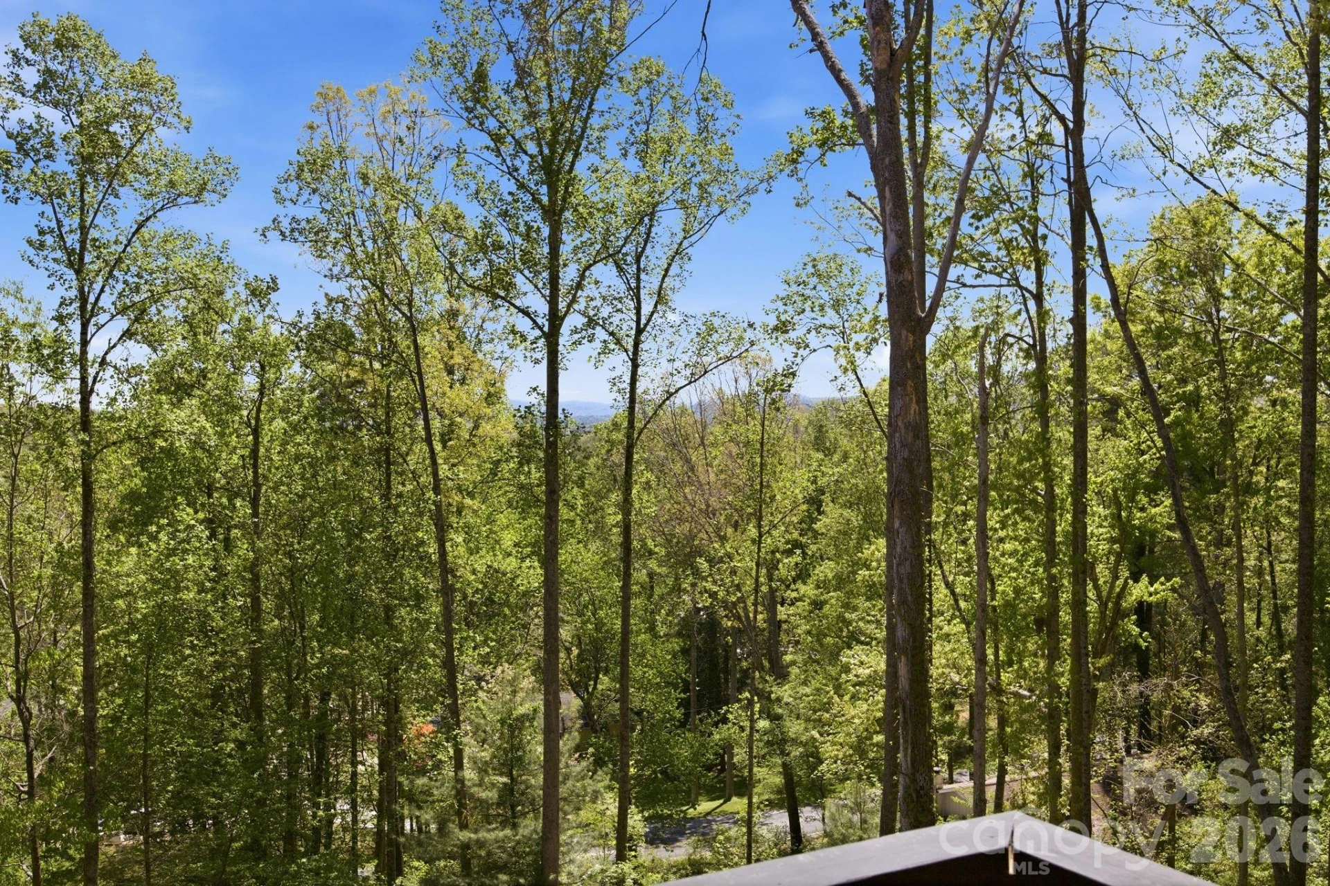 102 Sandpiper Palisades Street - Photo 45