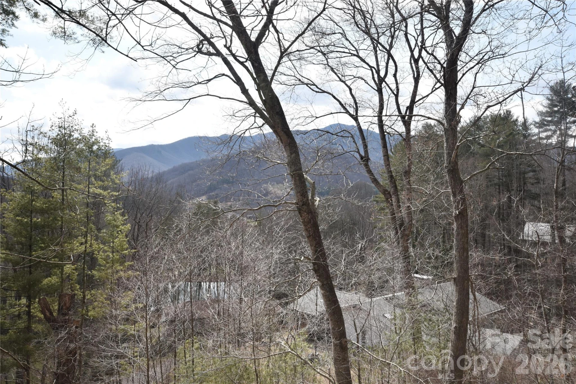 1299 Country Club Drive - Photo 9