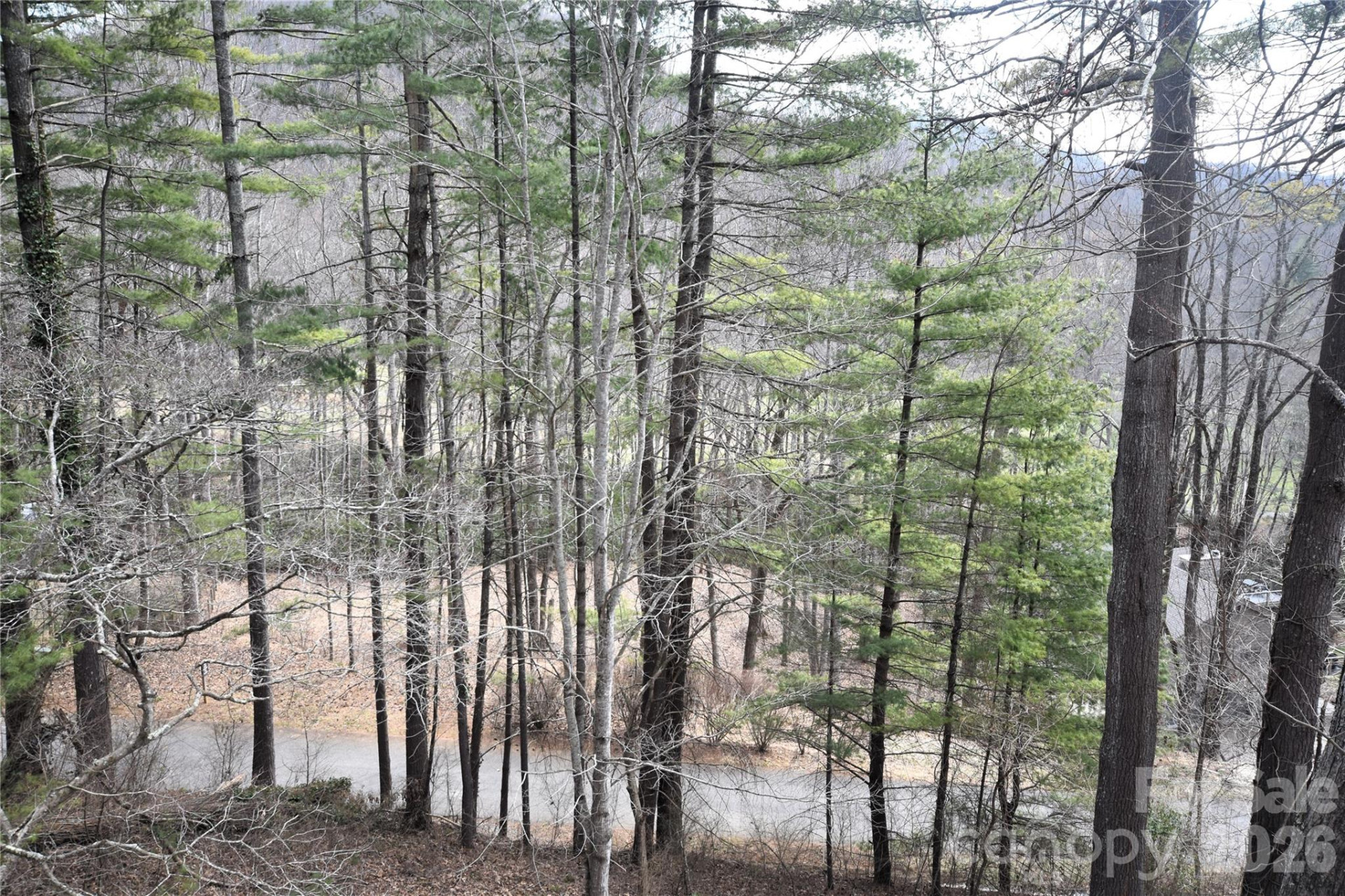 1299 Country Club Drive - Photo 10