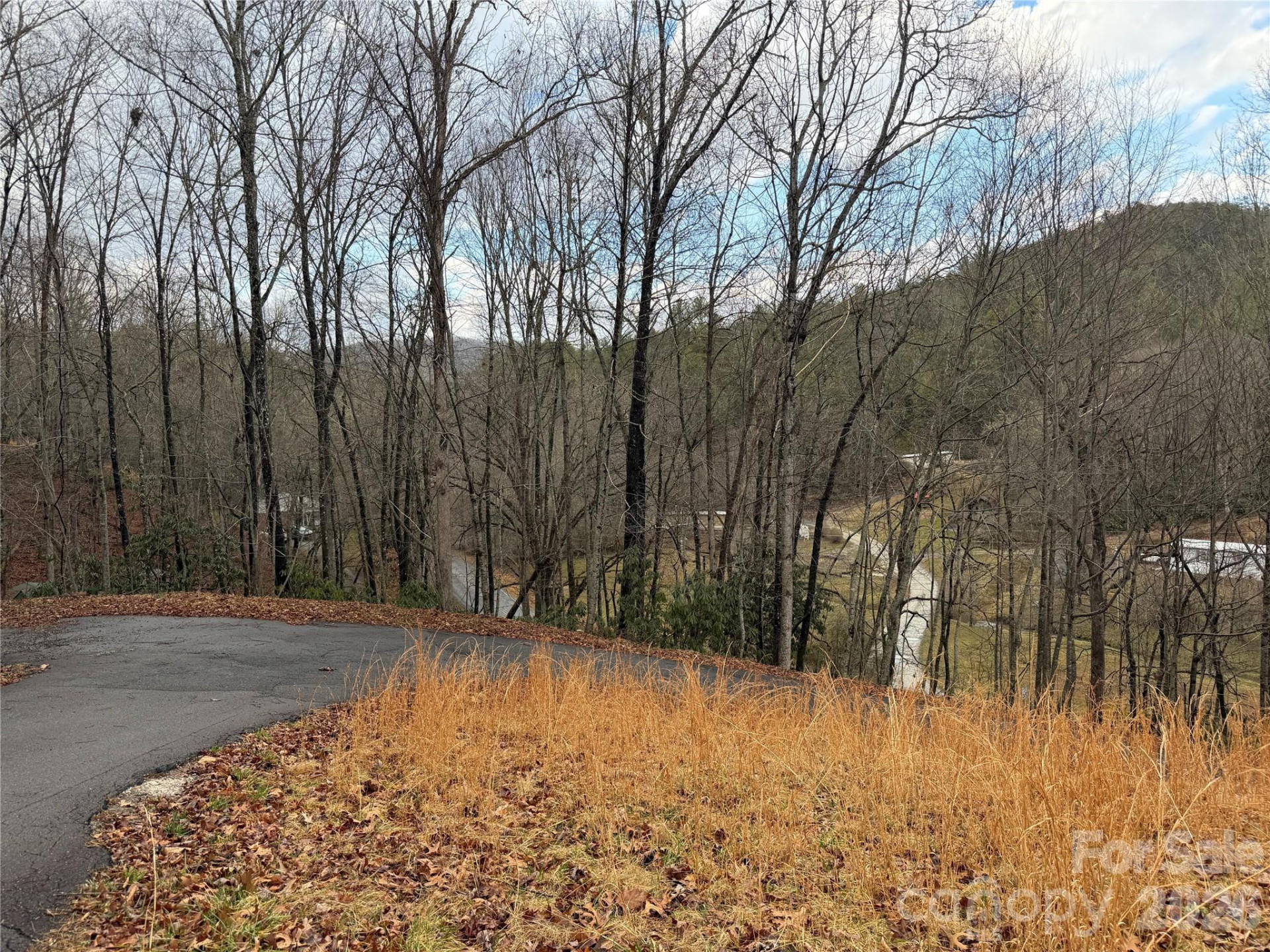 233 Lyday Creek Road - Photo 2