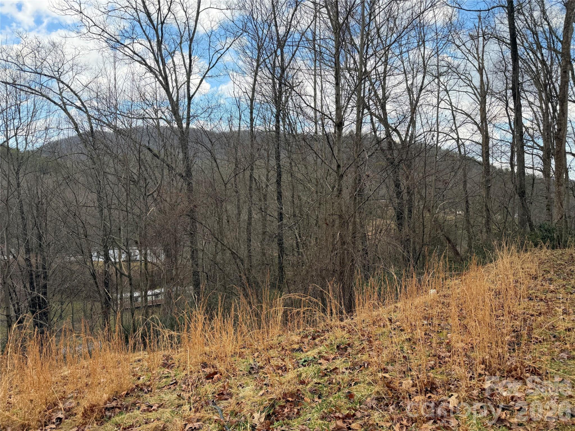 233 Lyday Creek Road - Photo 3