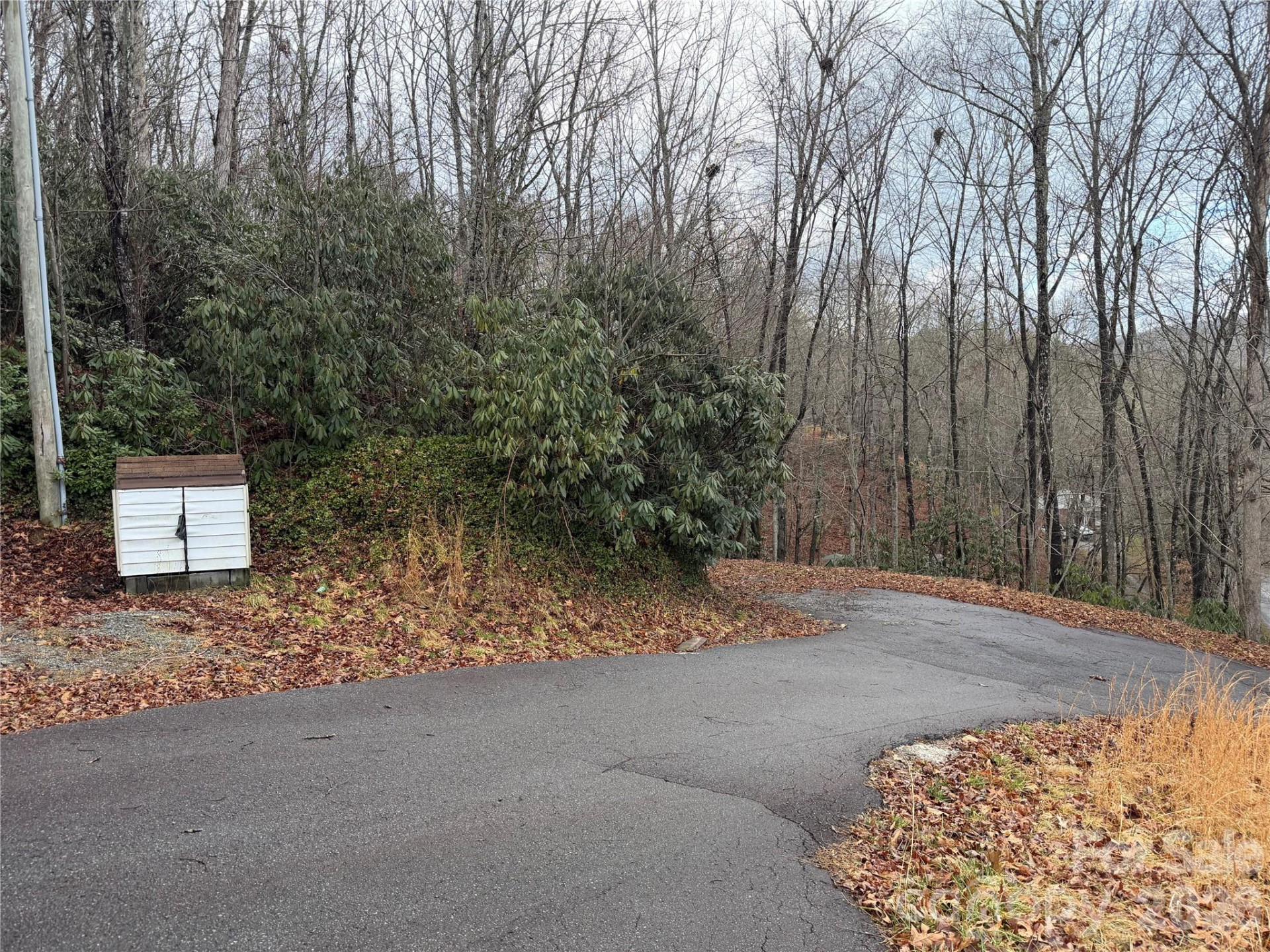 233 Lyday Creek Road - Photo 4