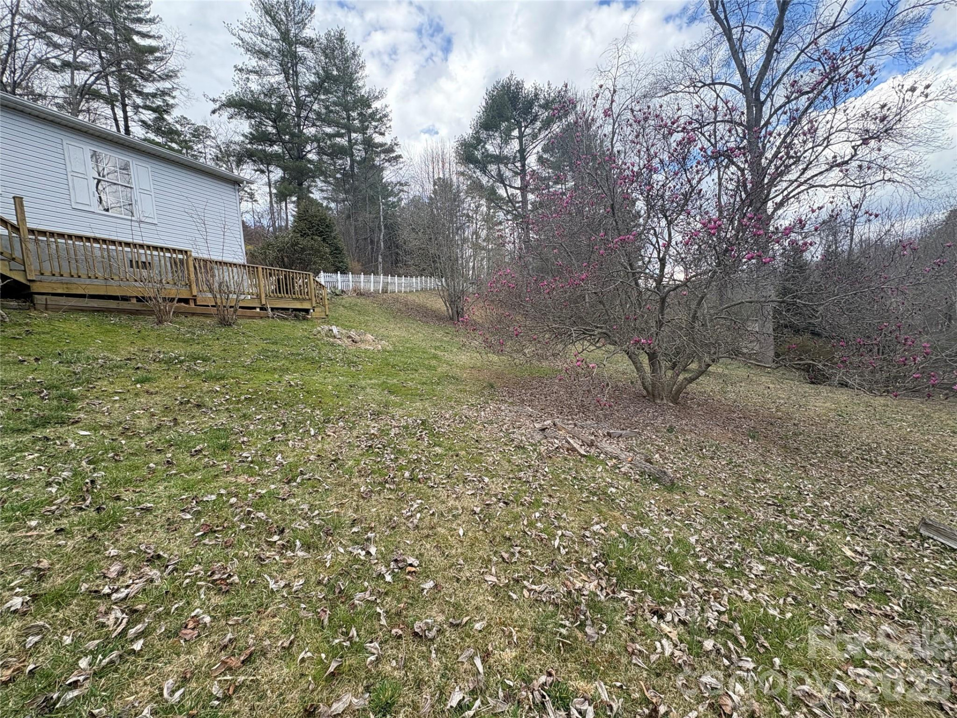 6 Shady Creek Lane - Photo 23