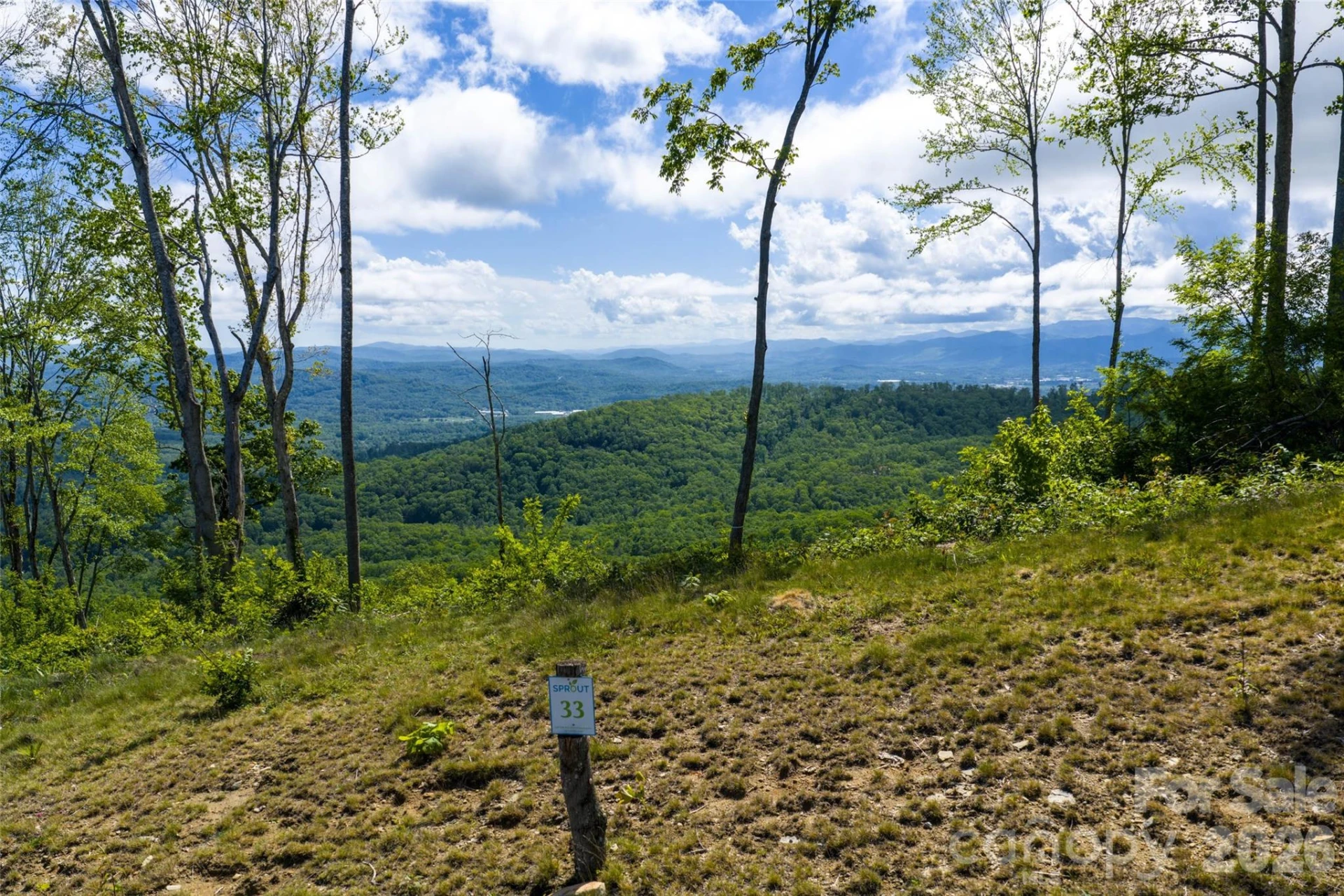 TBD Garden Trail #33 - Photo 3