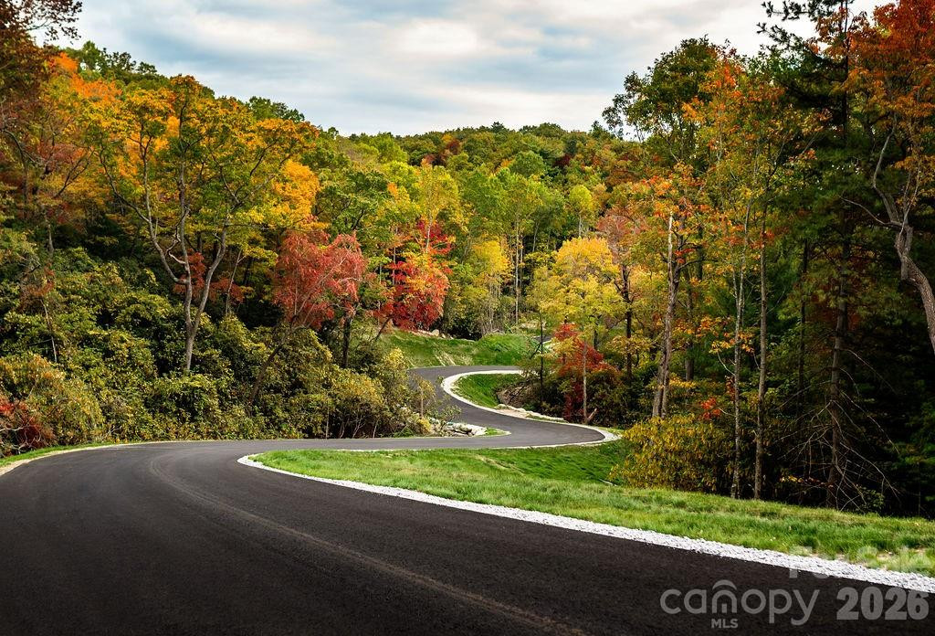 TBD Garden Trail #33 - Photo 11