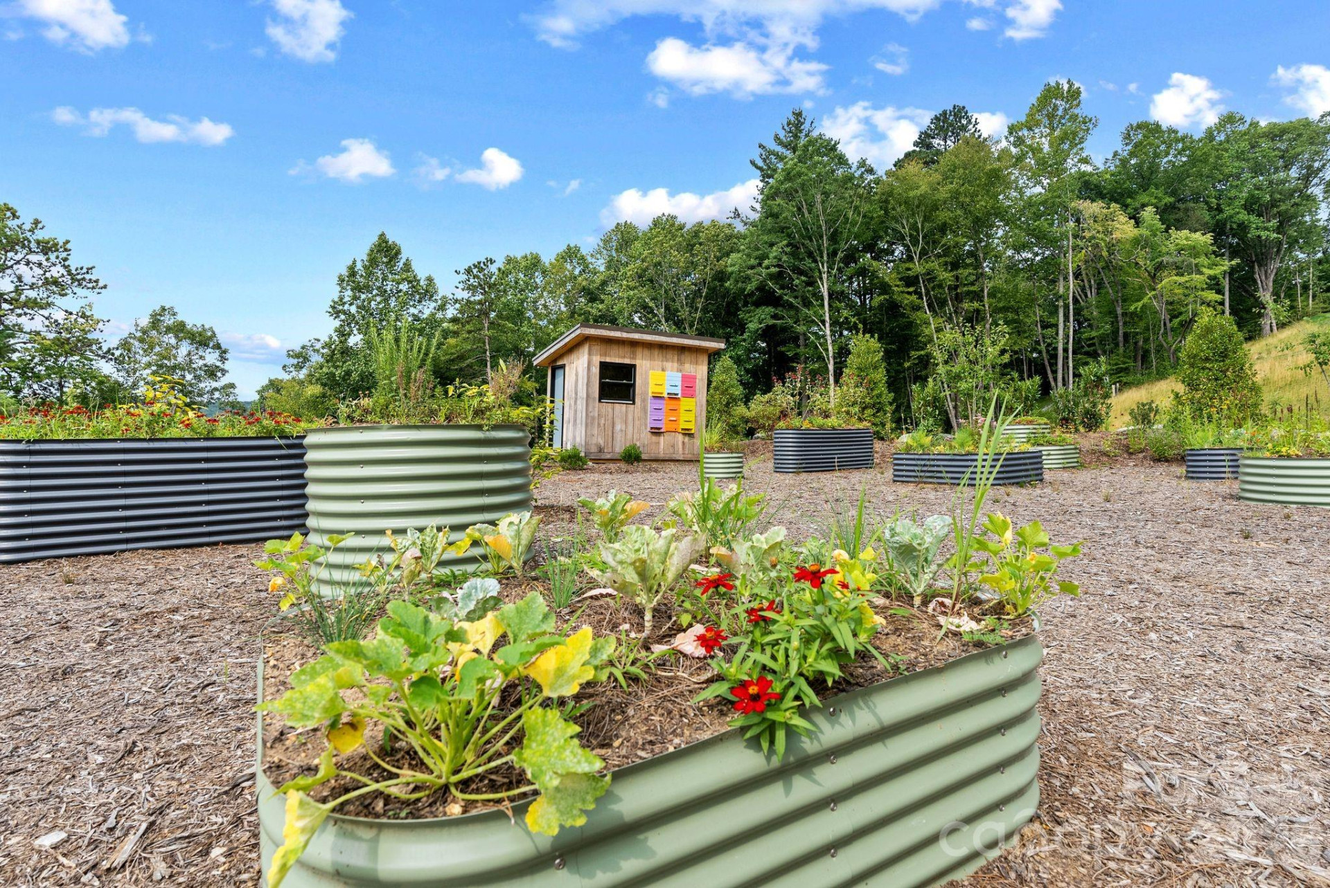 TBD Garden Trail #33 - Photo 14