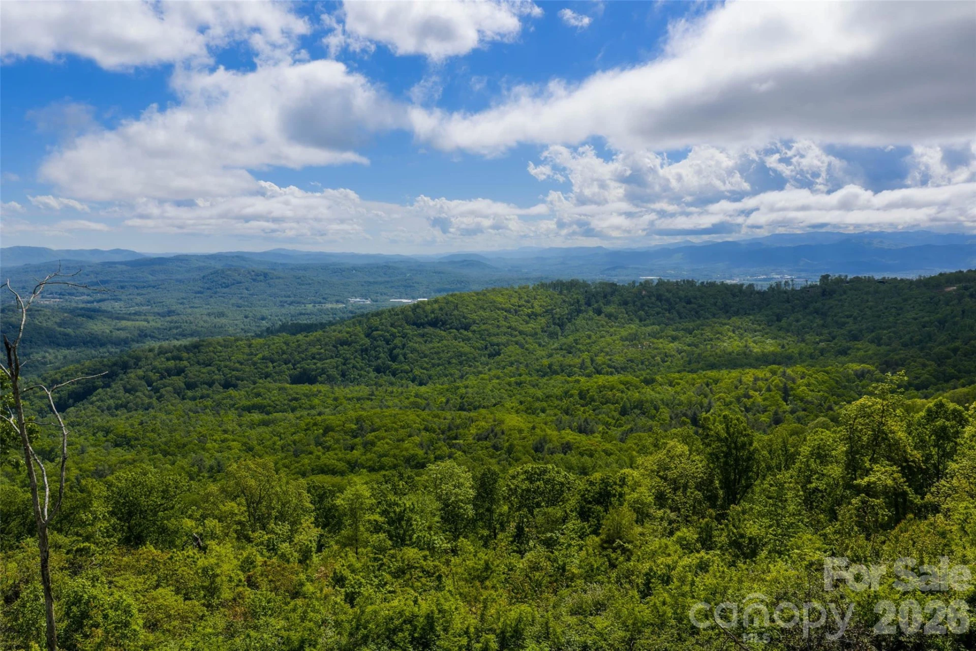 TBD Garden Trail #33 - Photo 15