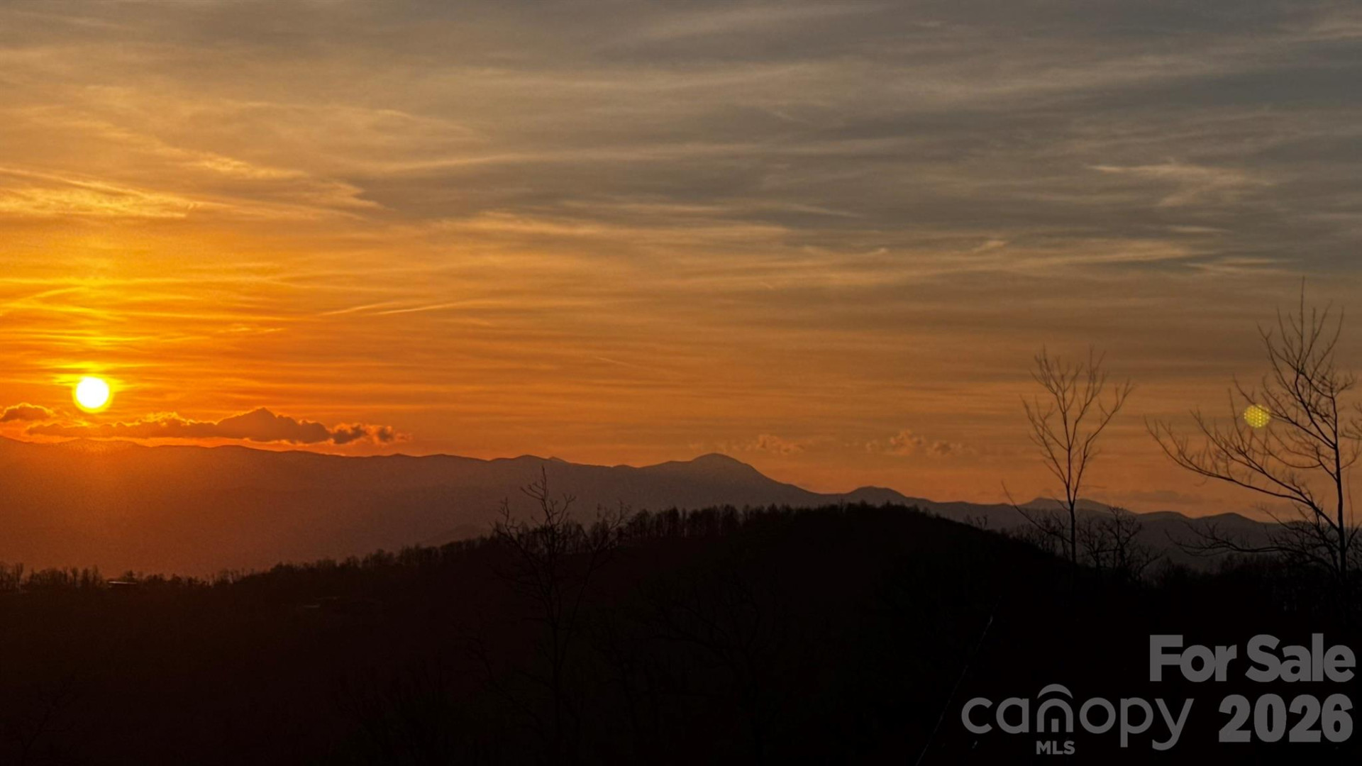 TBD Garden Trail #33 - Photo 9