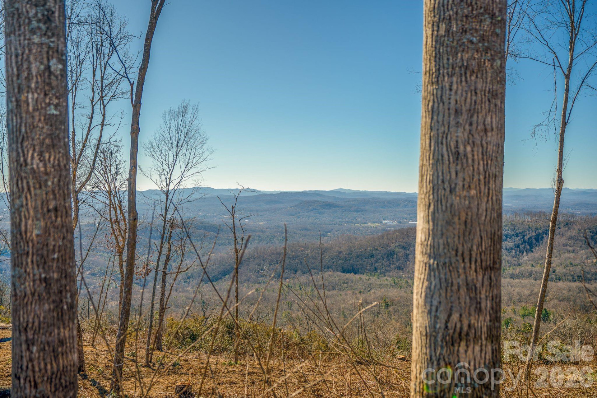 TBD Garden Trail #33 - Photo 10