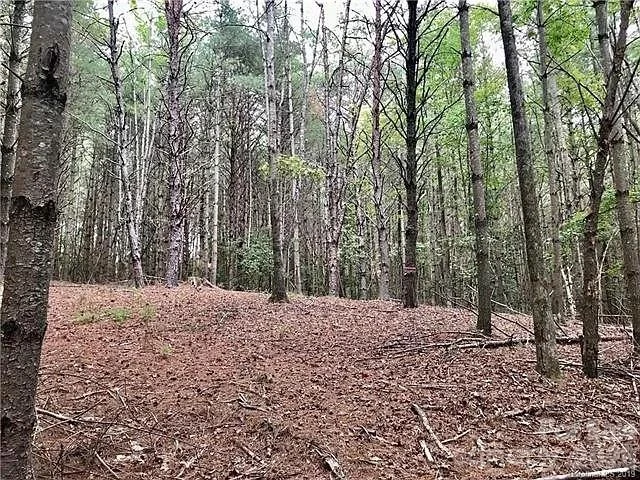 1388 Old Dry Creek Road - Photo 19