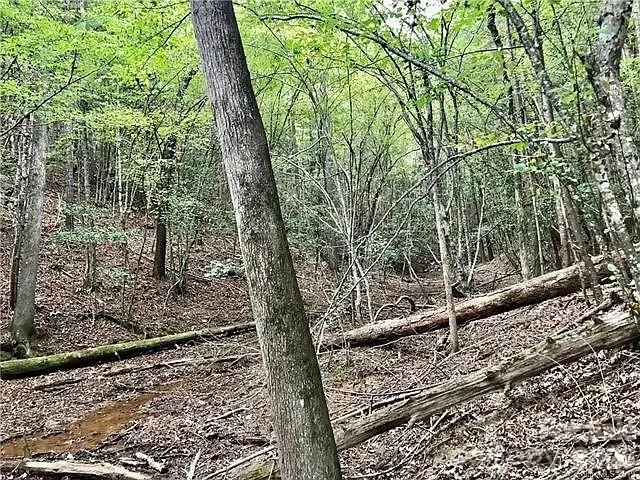 1388 Old Dry Creek Road - Photo 20