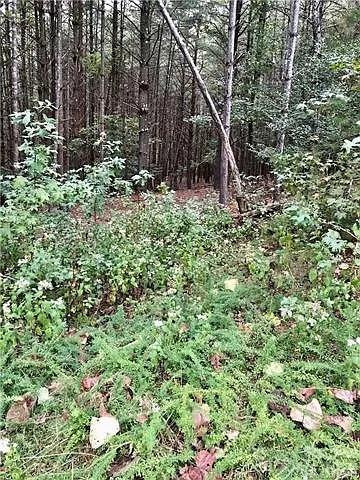 1388 Old Dry Creek Road - Photo 23