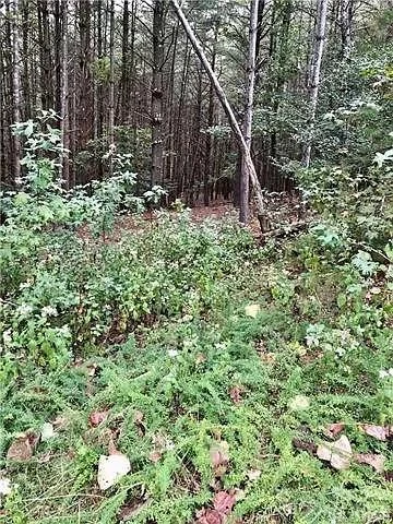 1388 Old Dry Creek Road - Photo 23